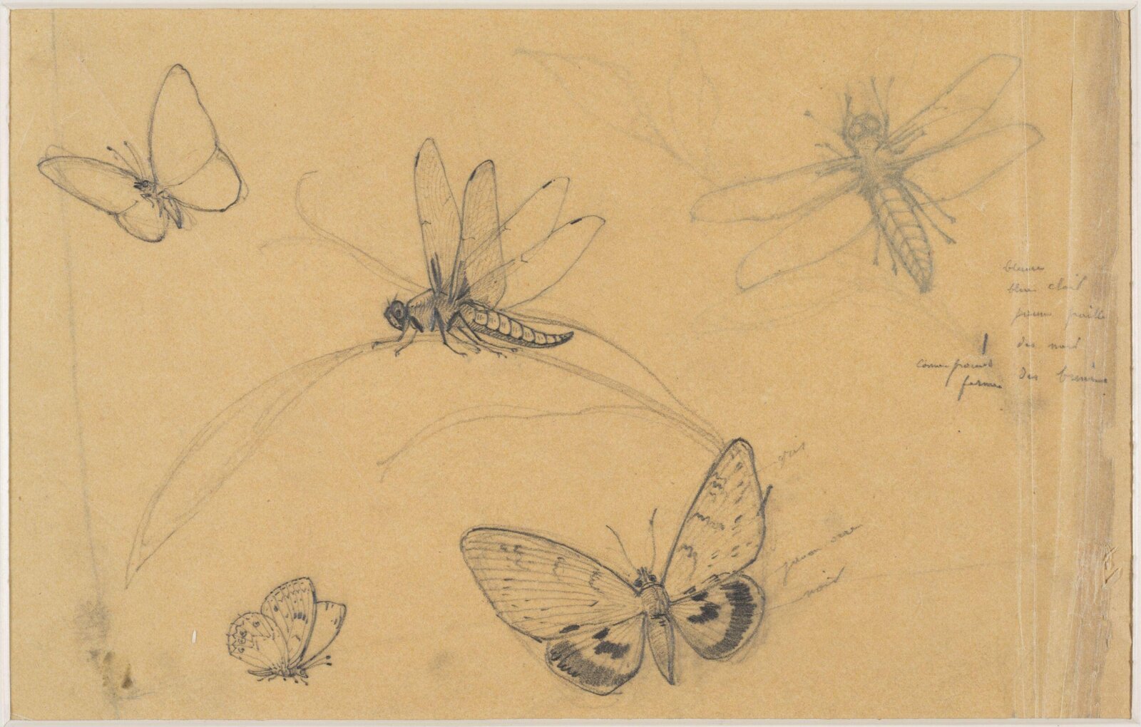 Drawing, c.1800