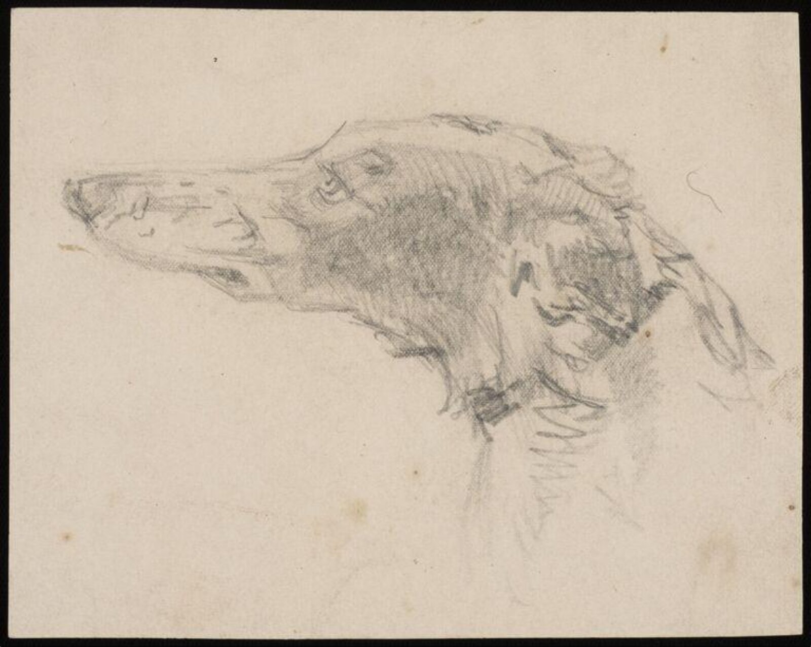 Drawing, Frank Watkins, 1870