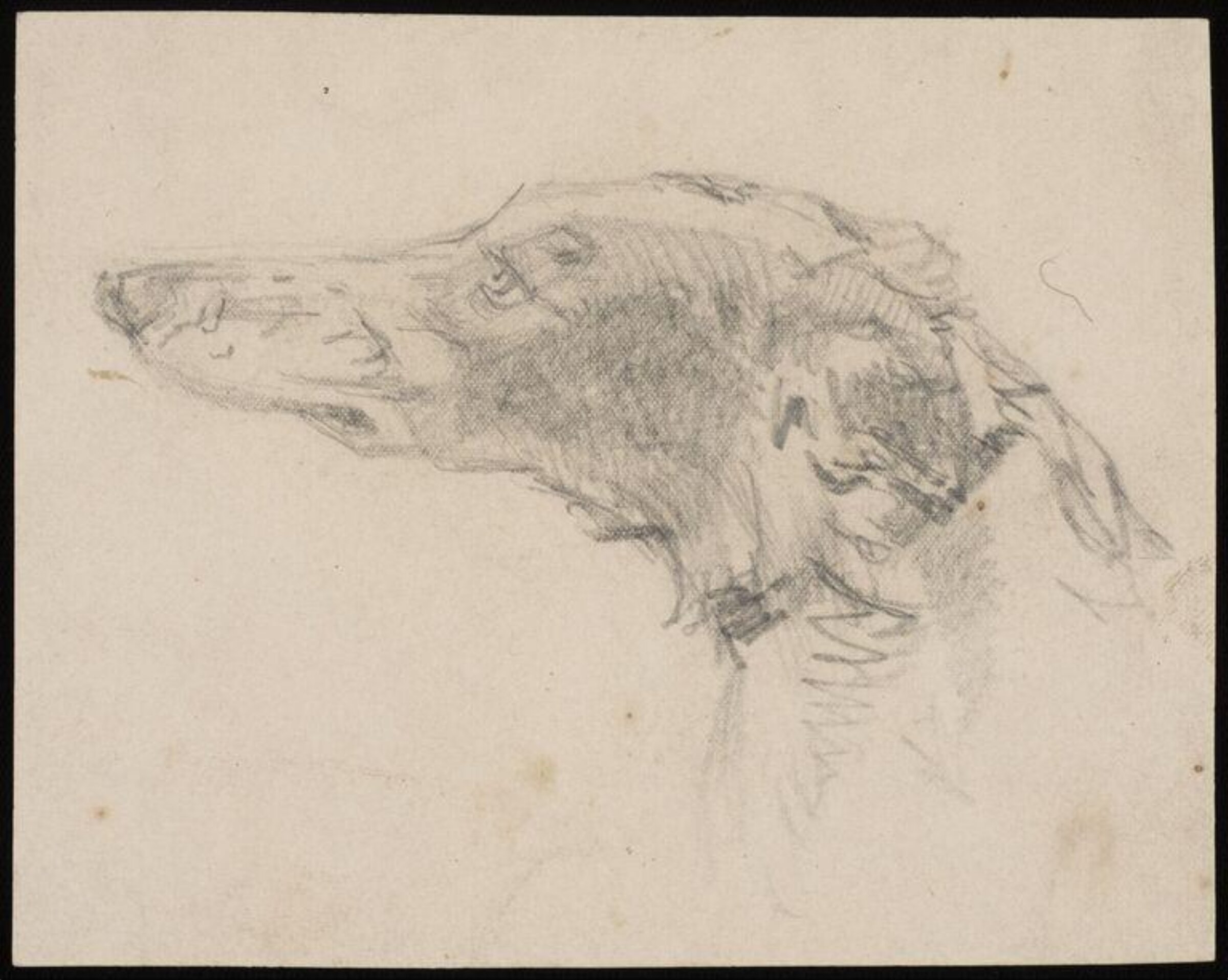 Drawing, Frank Watkins, 1870
