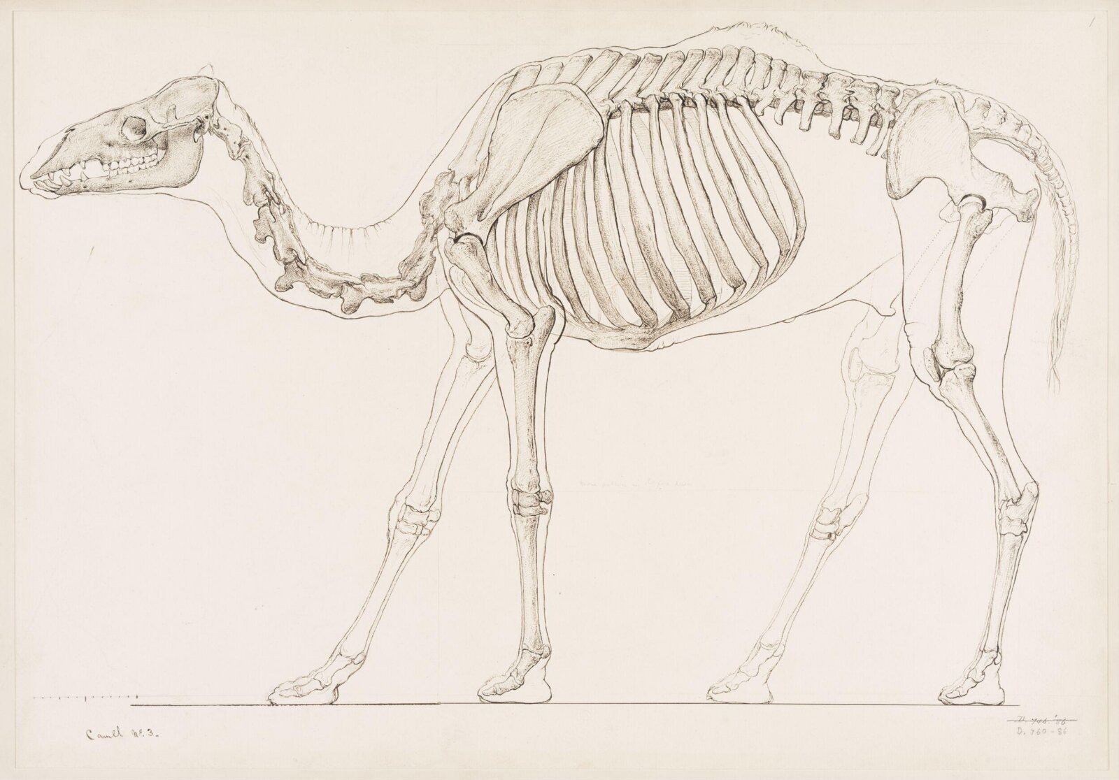 Drawing, Elijah Walton, 1865