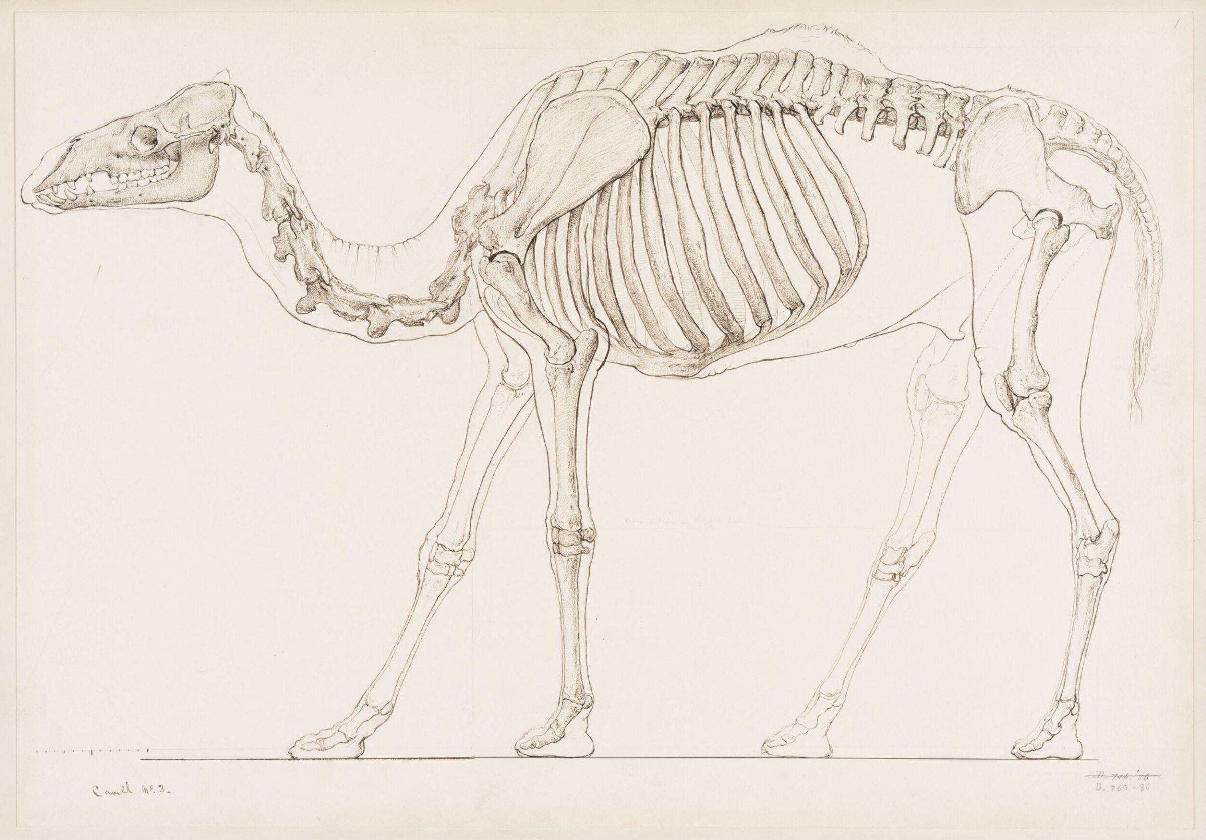 Drawing, Elijah Walton, 1865