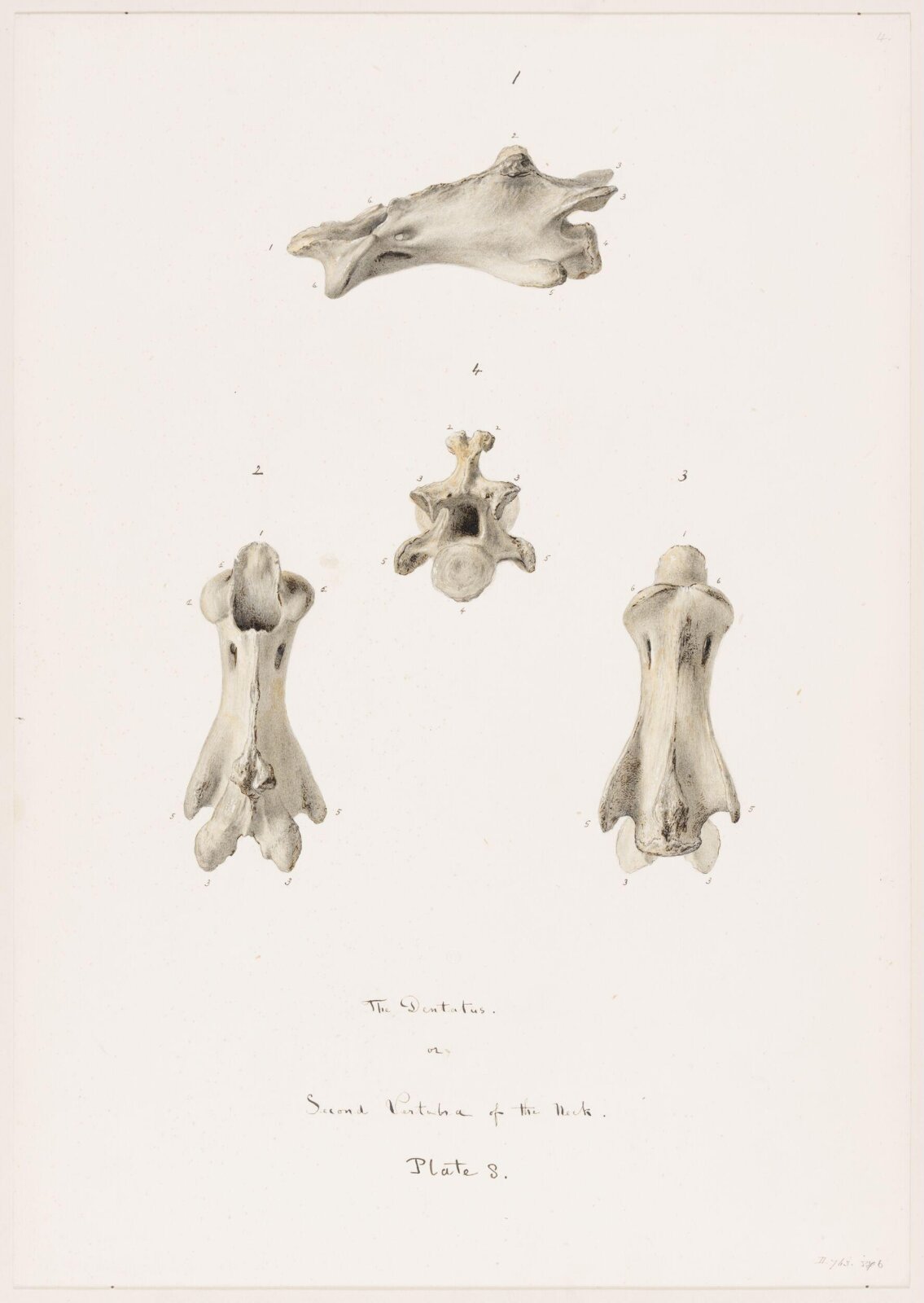 Drawing, Elijah Walton, 1865