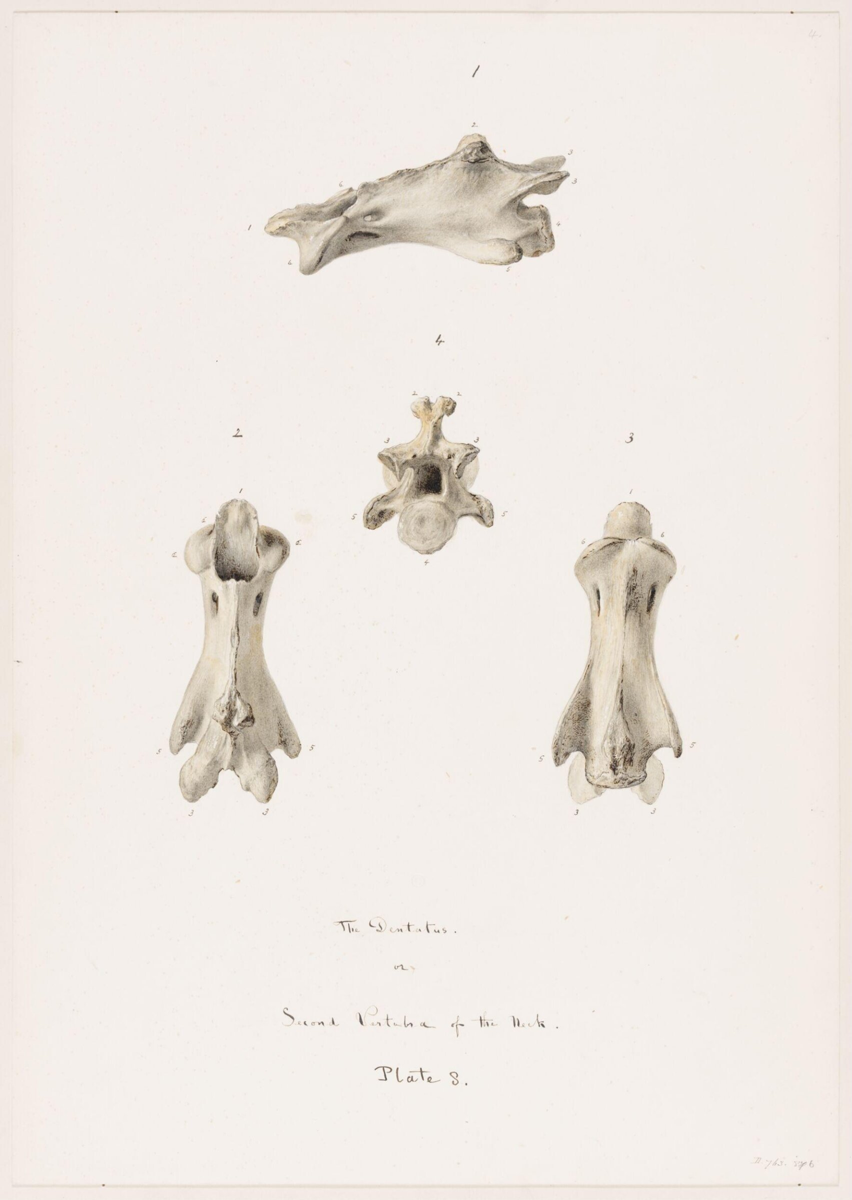 Drawing, Elijah Walton, 1865