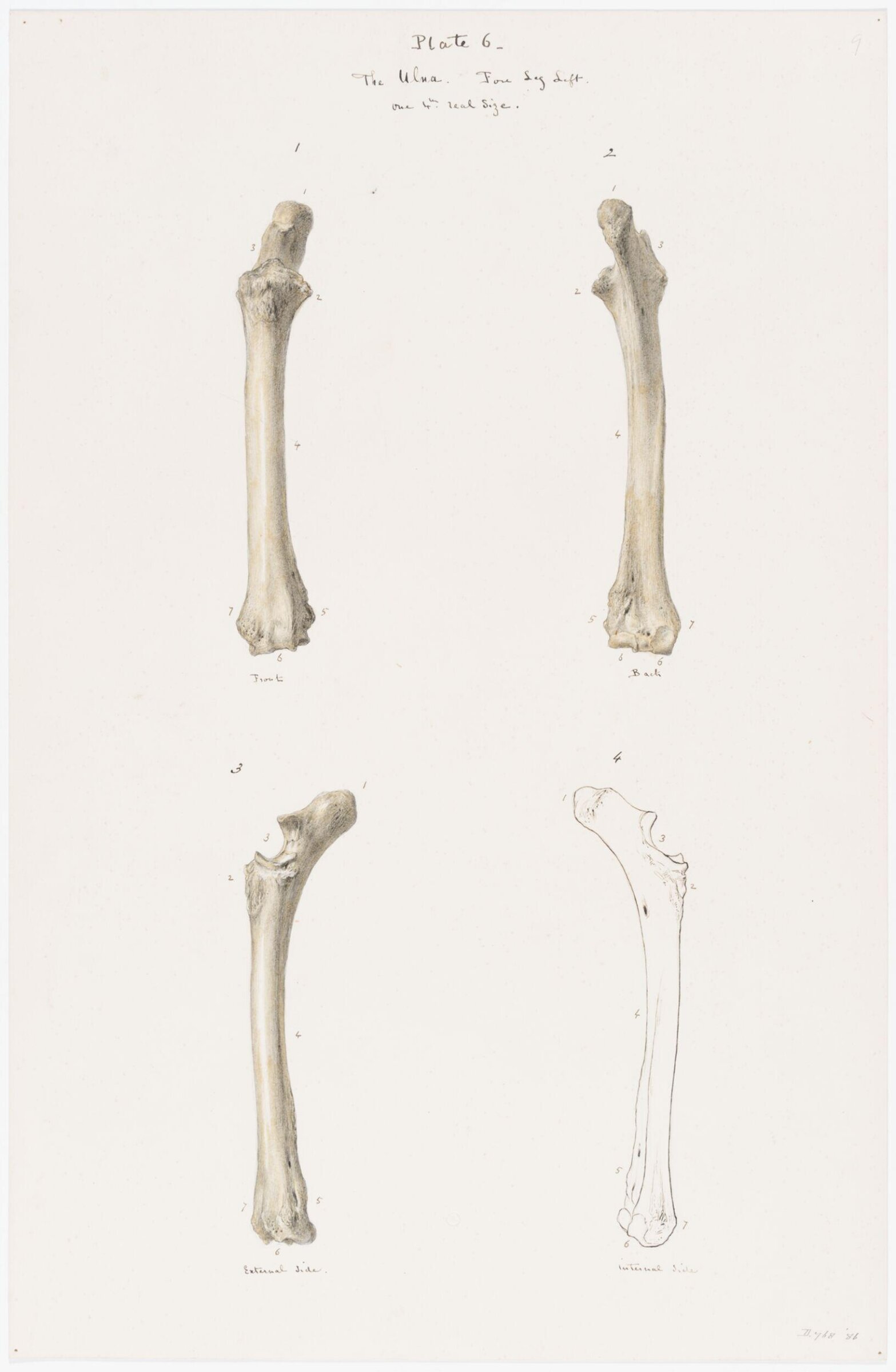 Drawing, Elijah Walton, 1865
