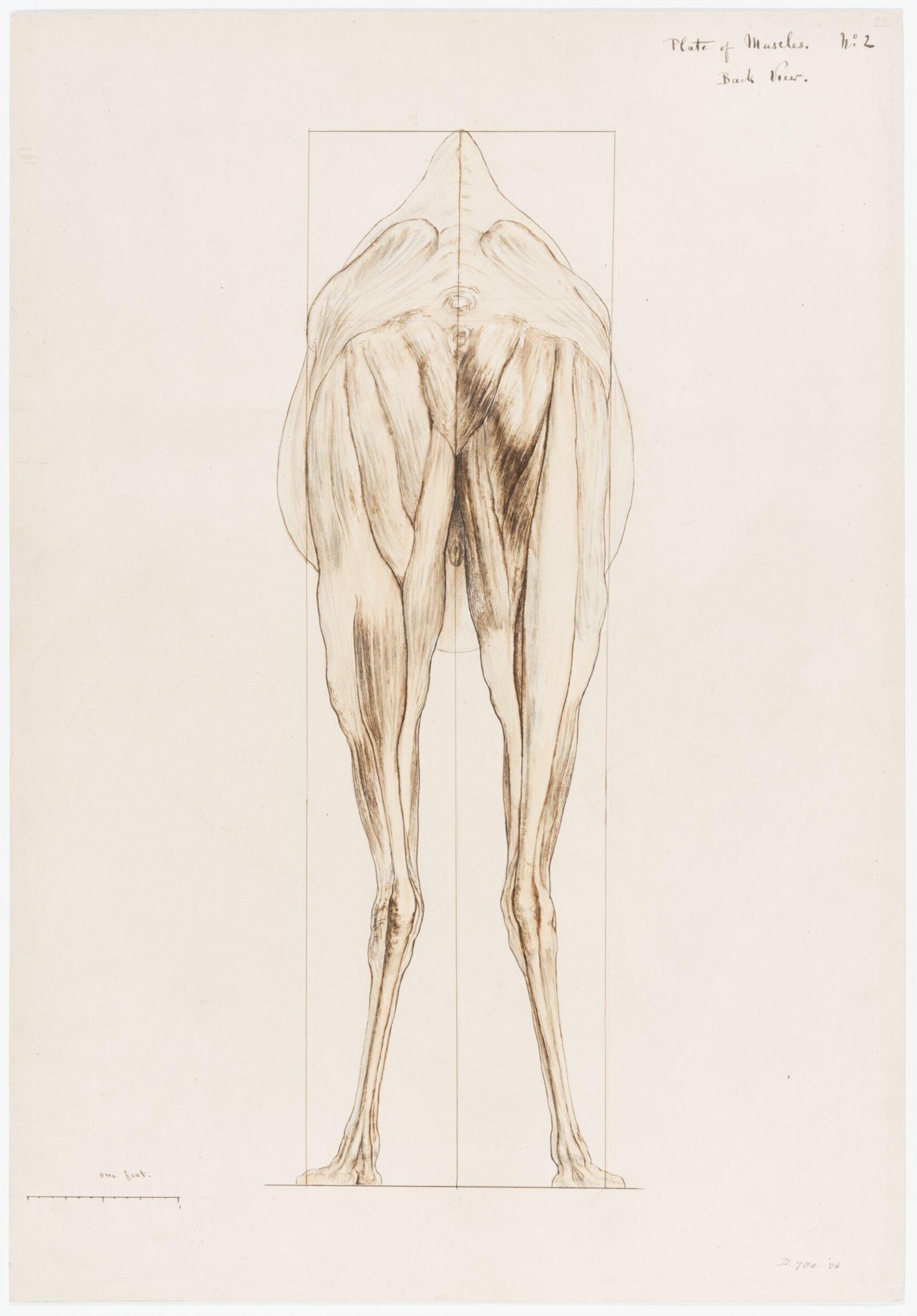 Drawing, Elijah Walton, 1865