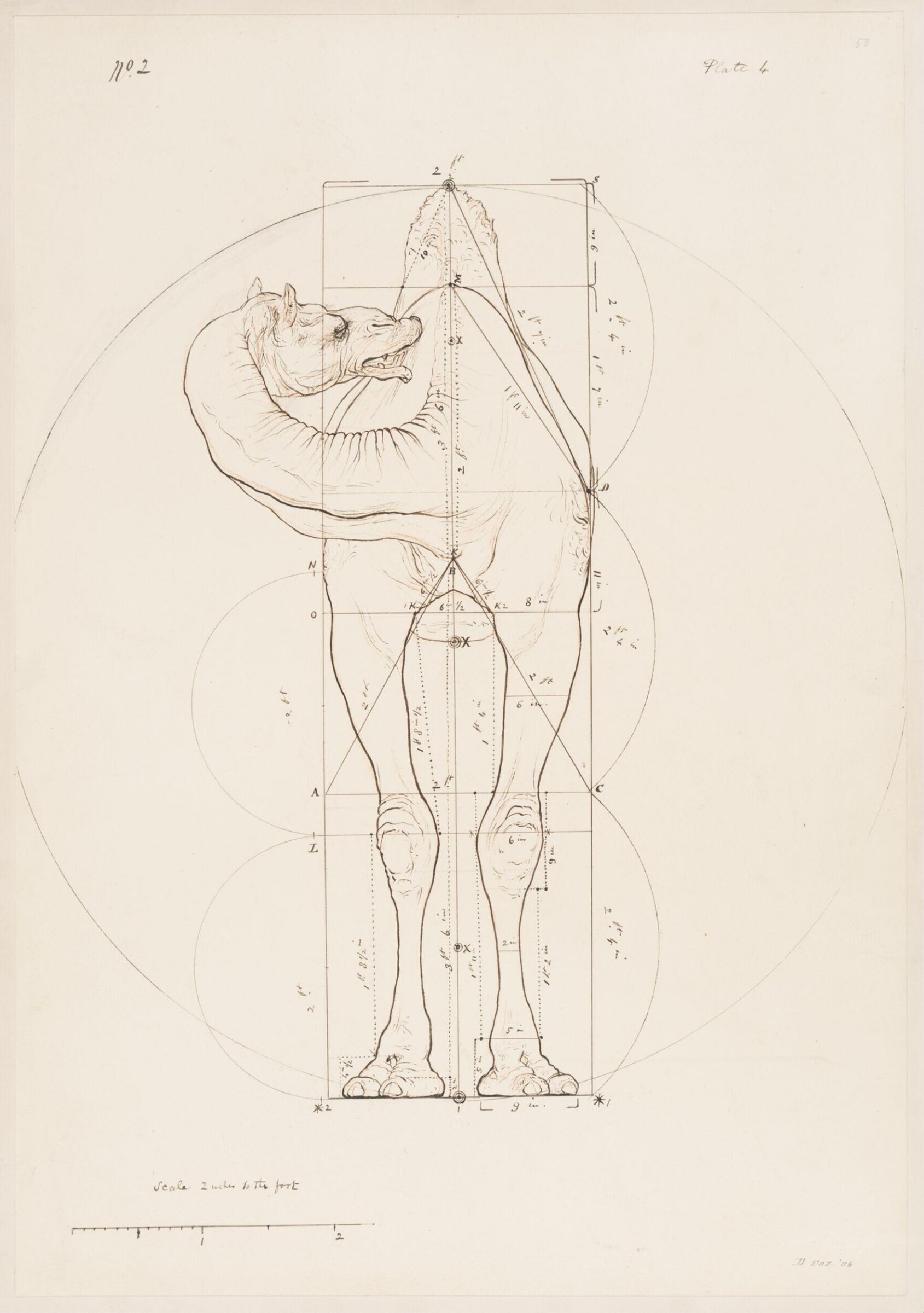Drawing, Elijah Walton, 1865