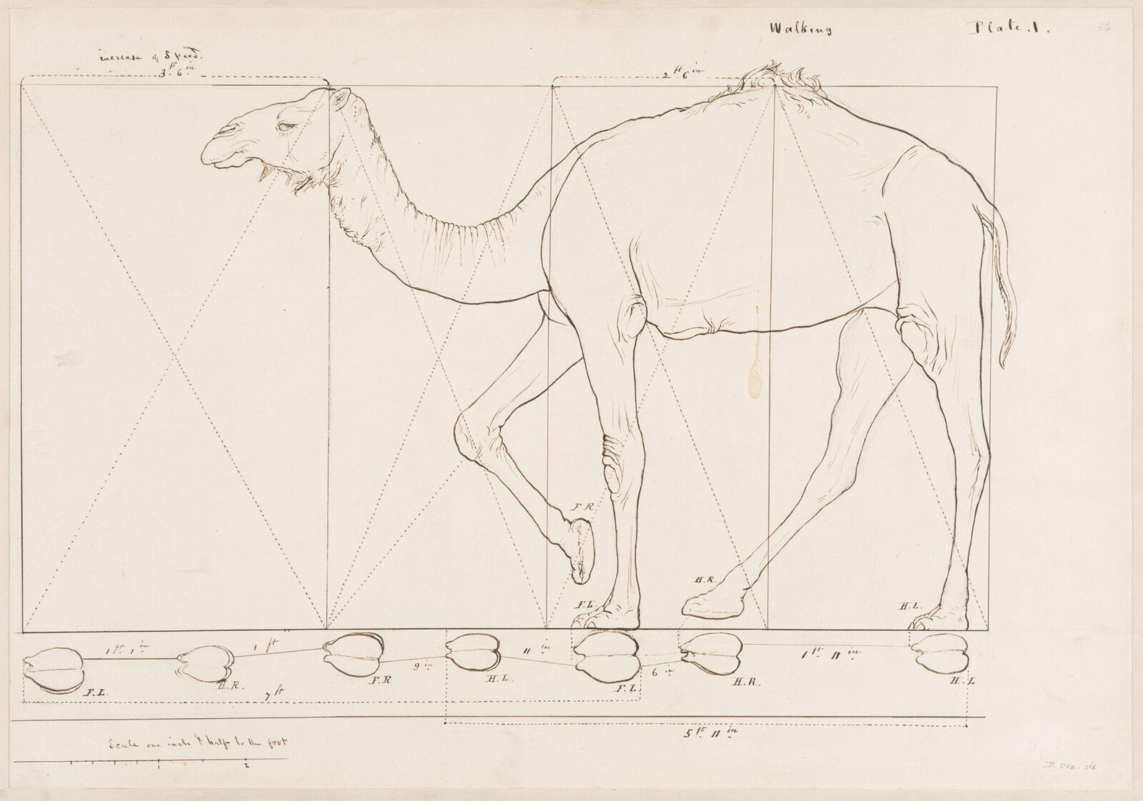 Drawing, Elijah Walton, 1865