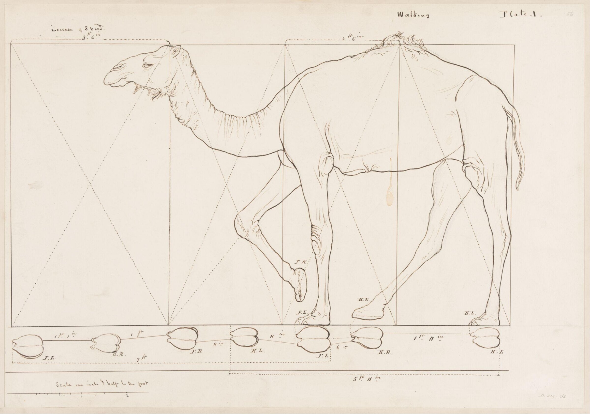 Drawing, Elijah Walton, 1865
