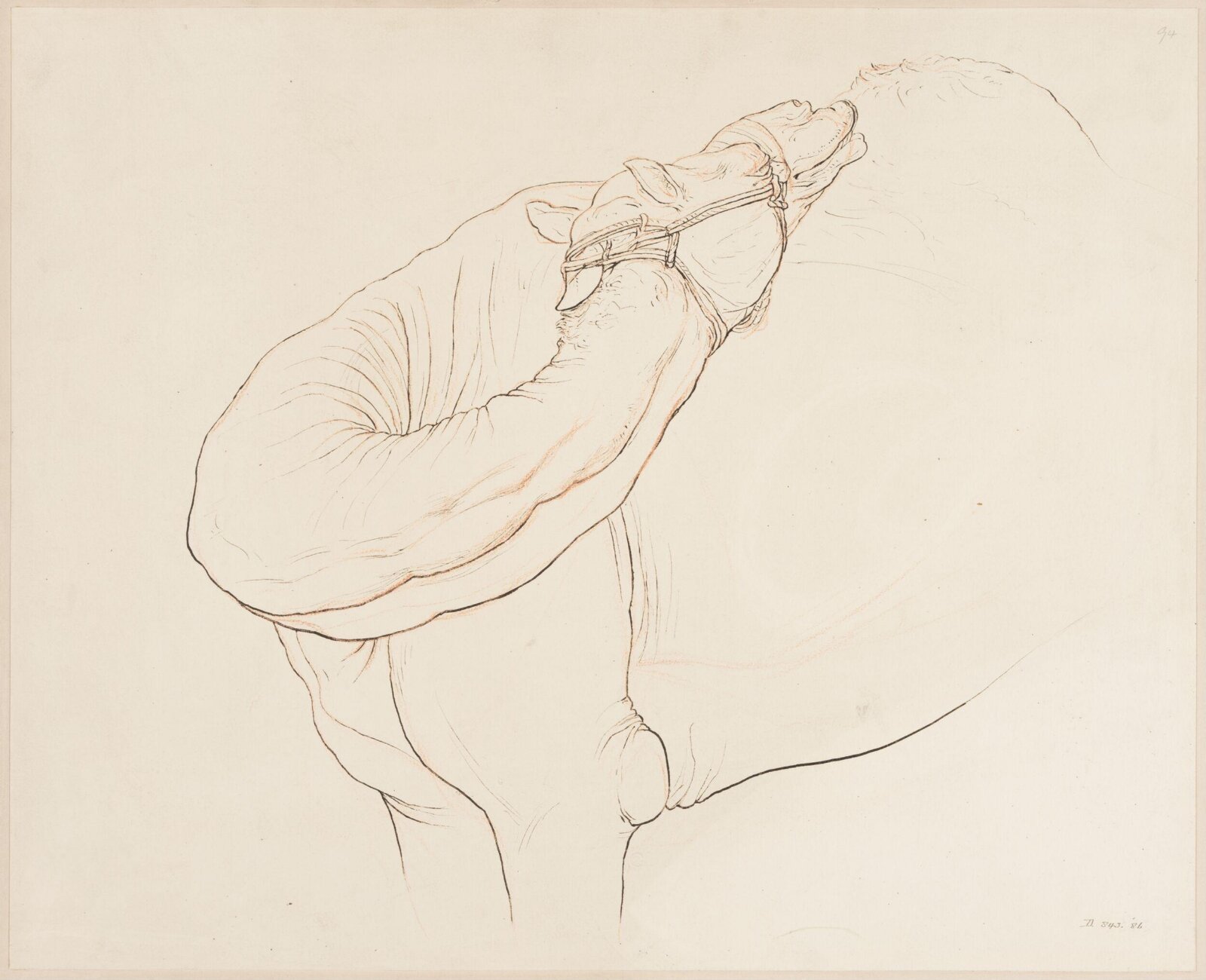 Drawing, Elijah Walton, 1865