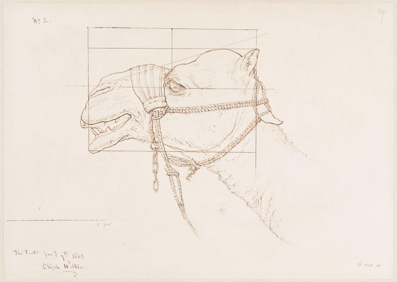 Drawing, Elijah Walton, 1865