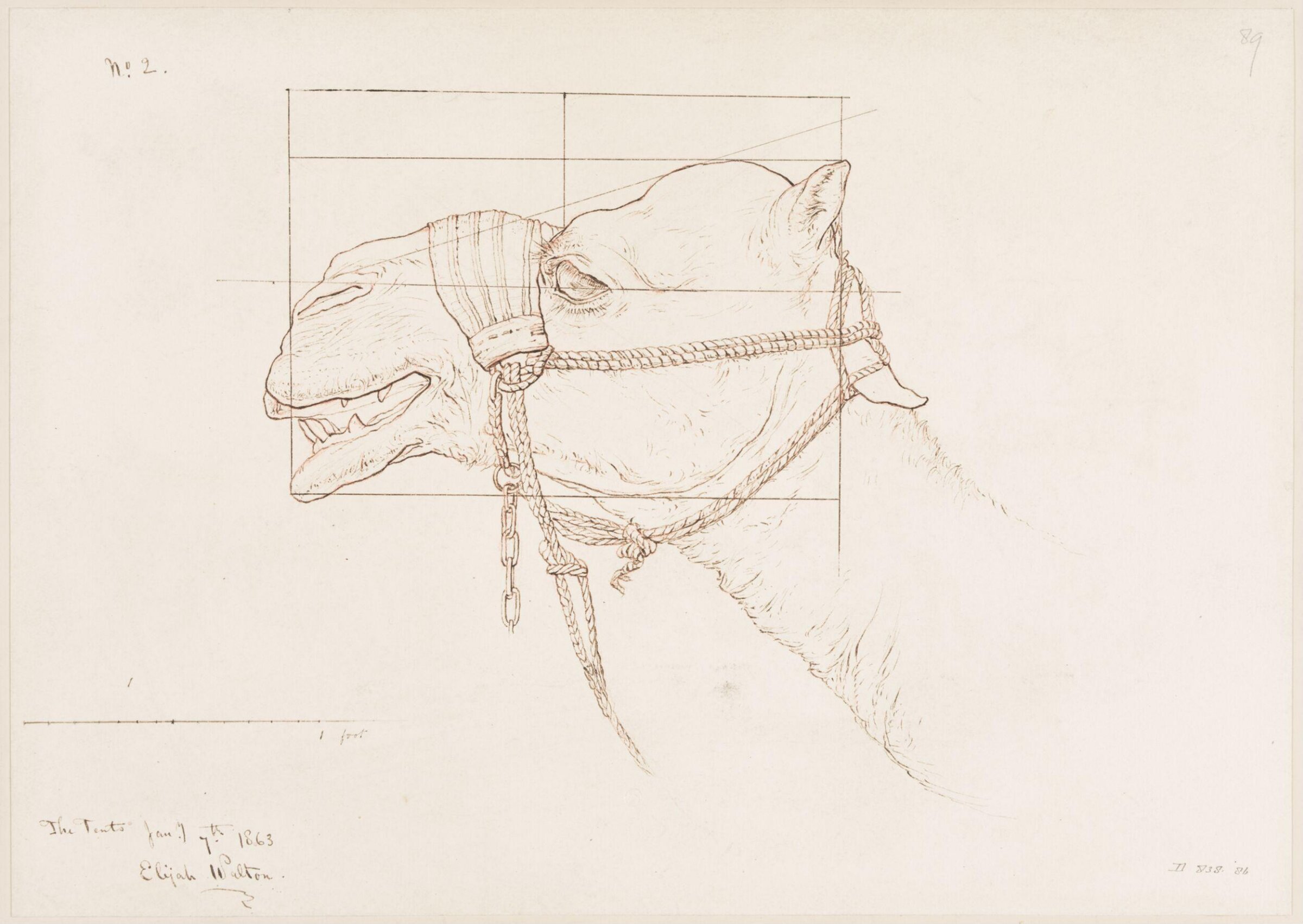 Drawing, Elijah Walton, 1865