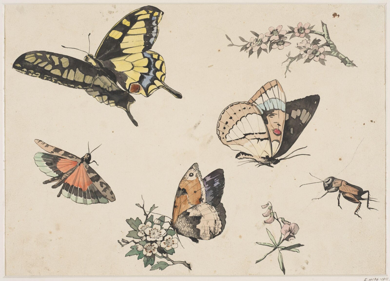 Drawing, c.1800