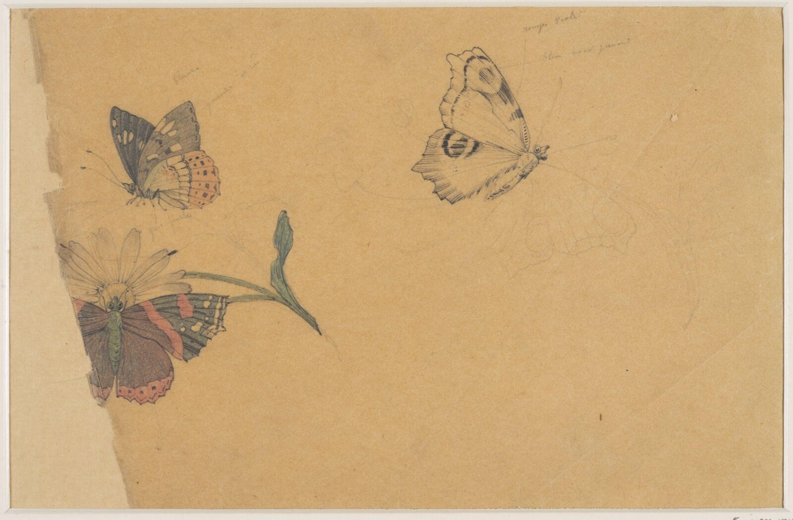 Drawing, c.1800