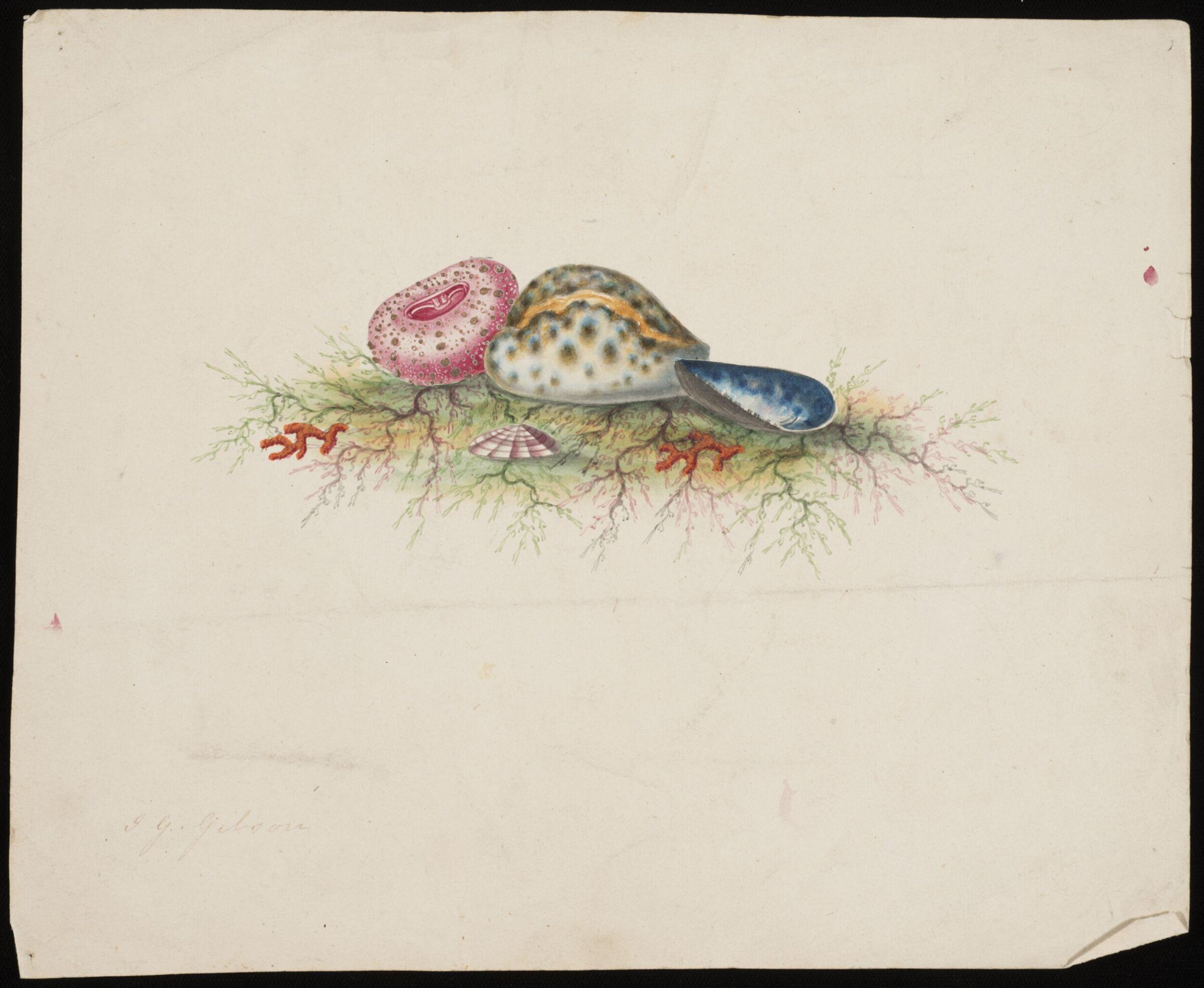 Drawing, John George Gibson, late 18th century-early 19th century