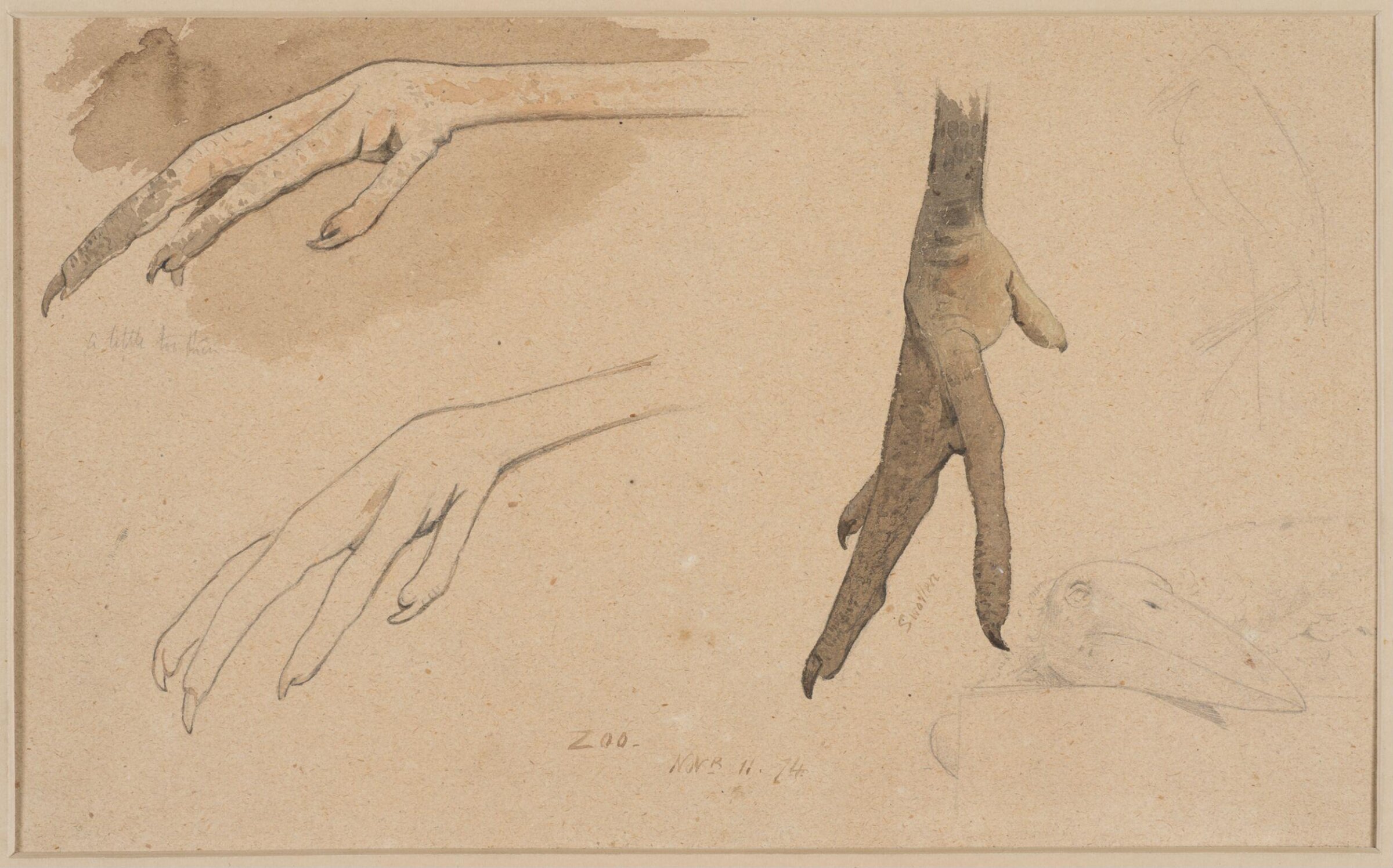 Drawing, Henry Stacy Marks, late 19th century