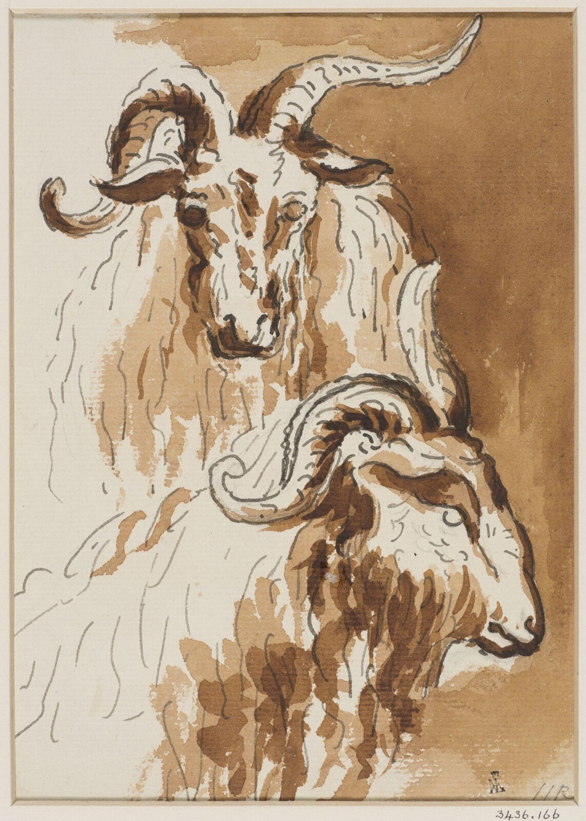 Drawing