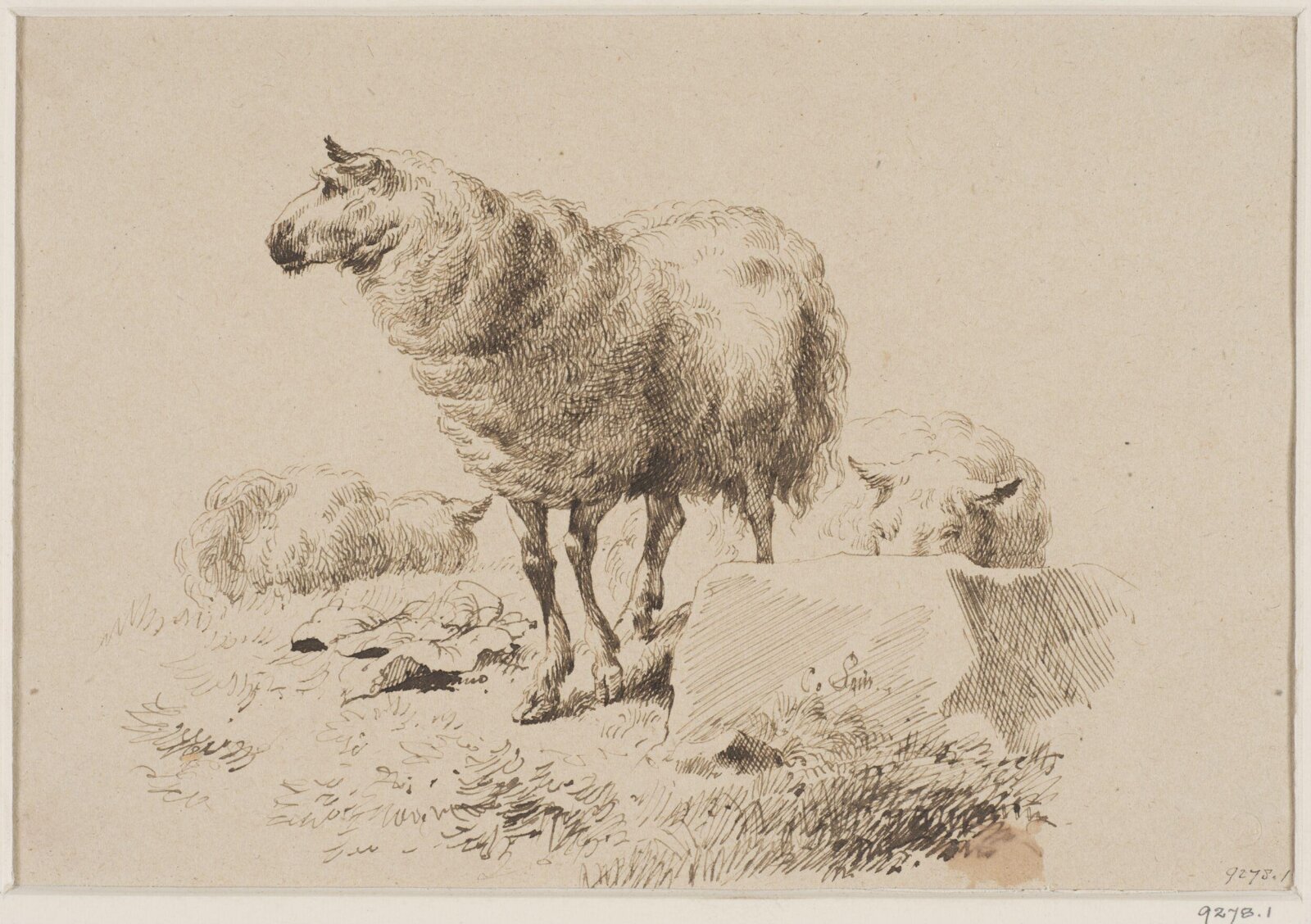 Drawing