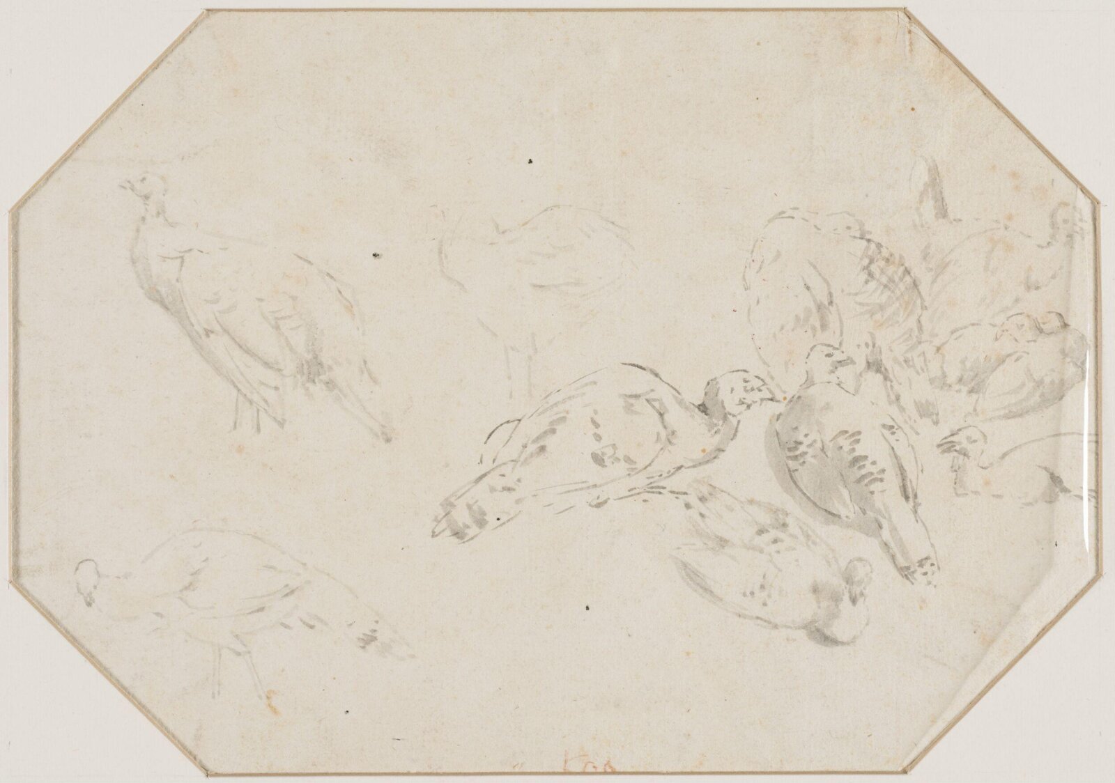 Drawing