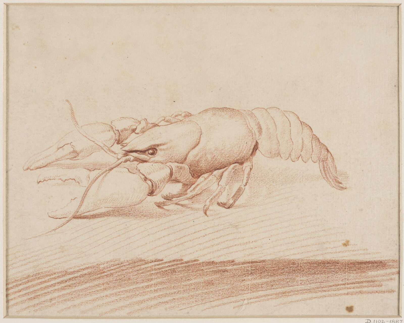 Drawing