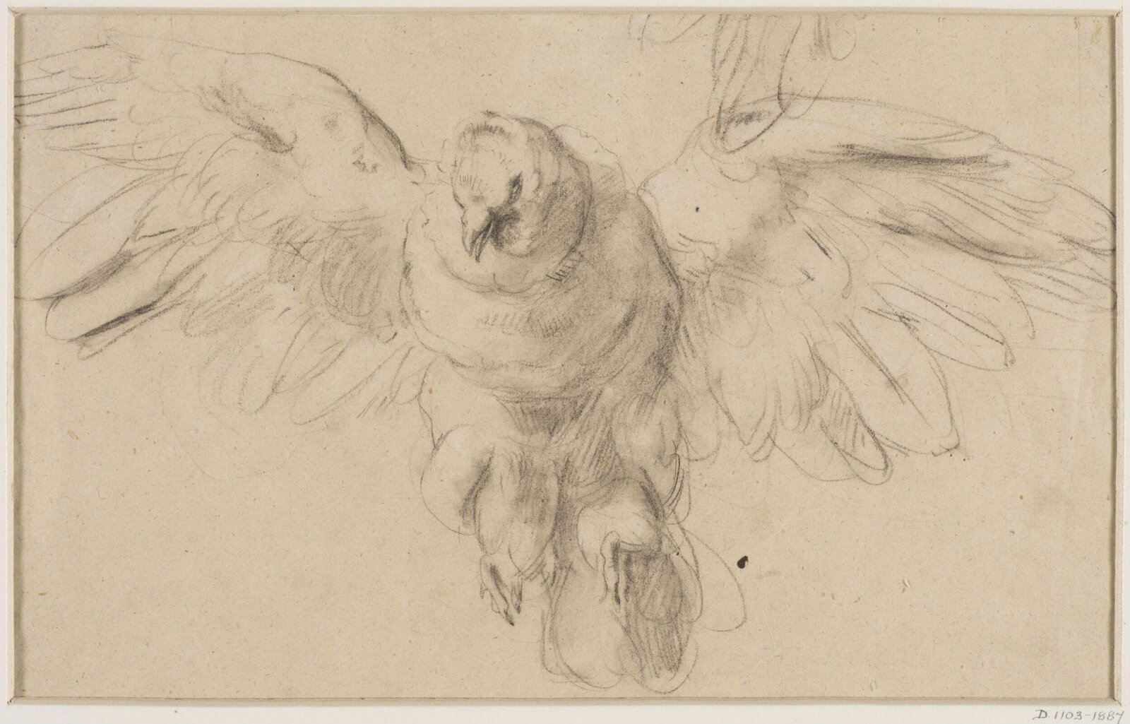 Drawing
