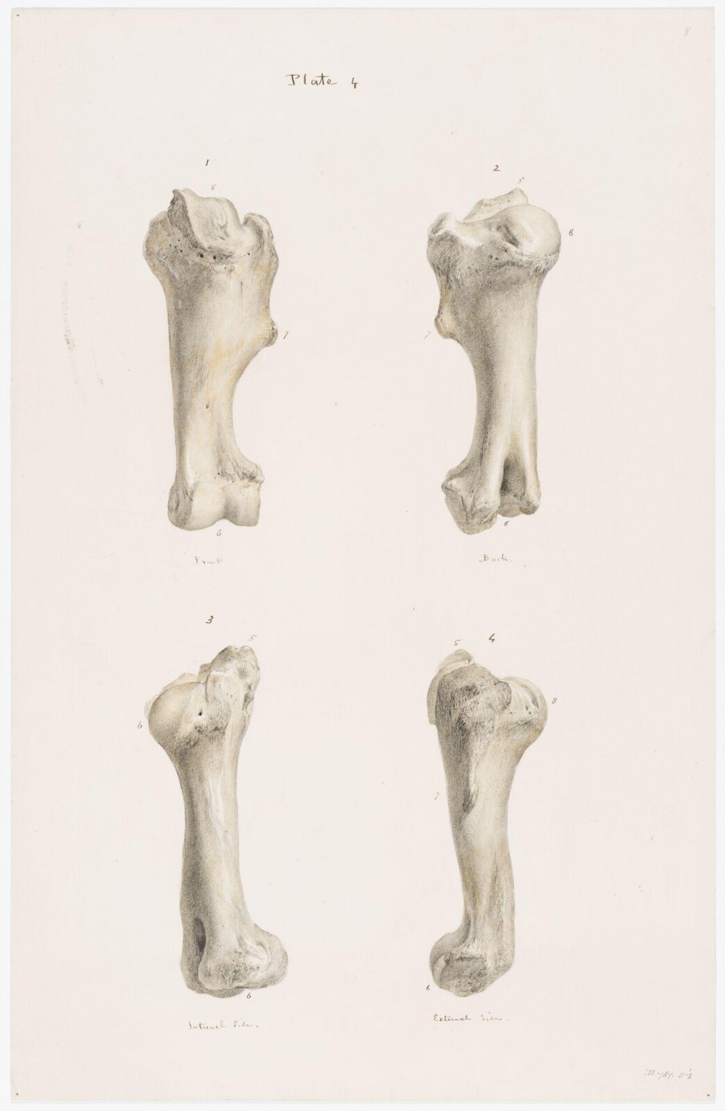 Drawing, Elijah Walton, 1865