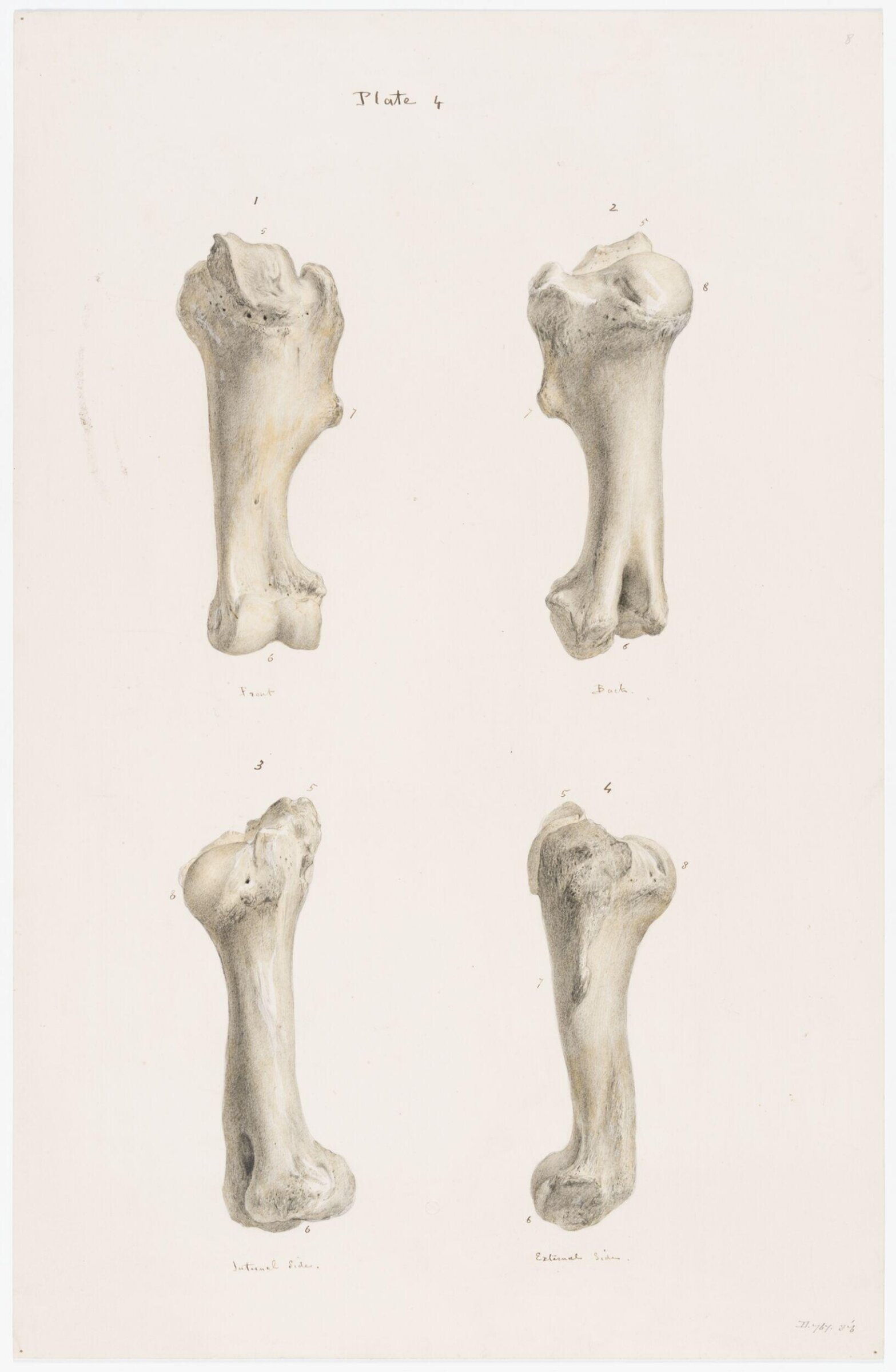 Drawing, Elijah Walton, 1865