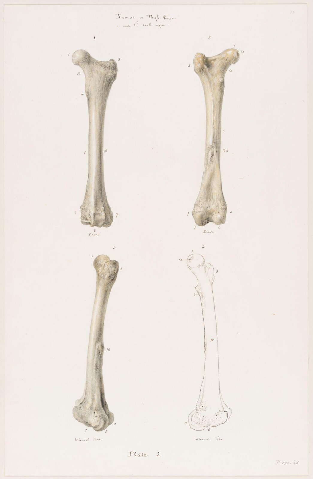 Drawing, Elijah Walton, 1865