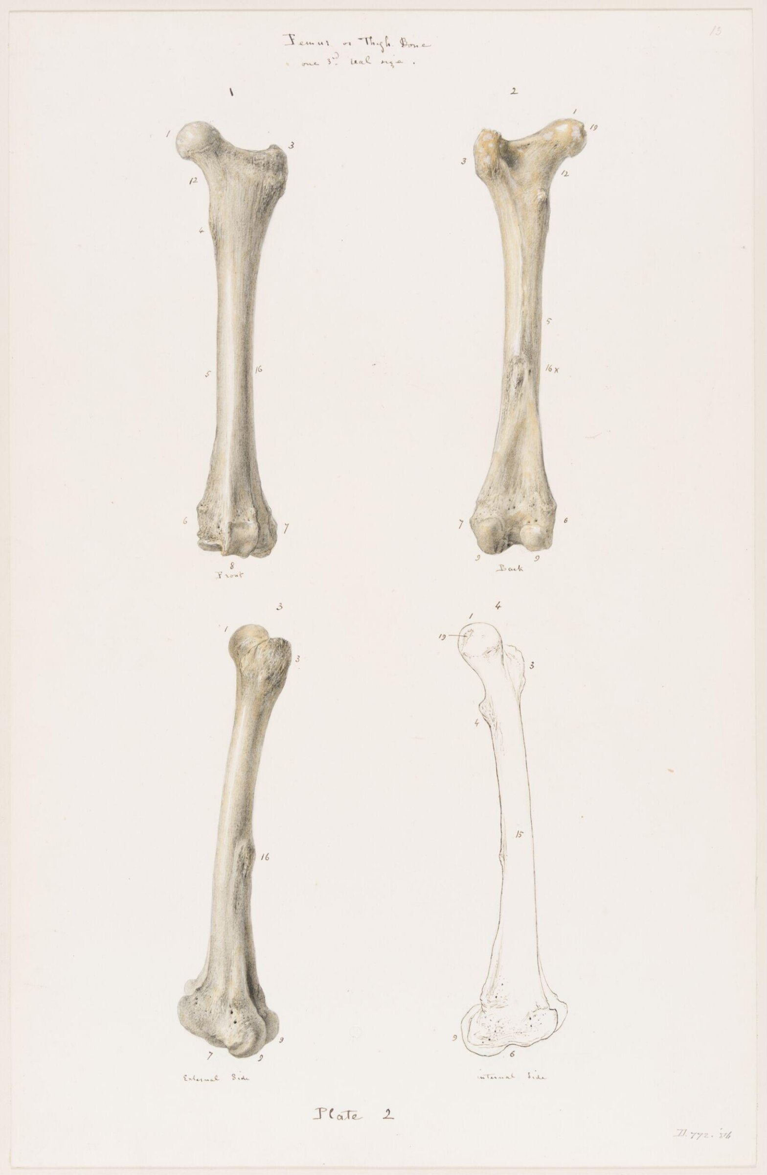 Drawing, Elijah Walton, 1865