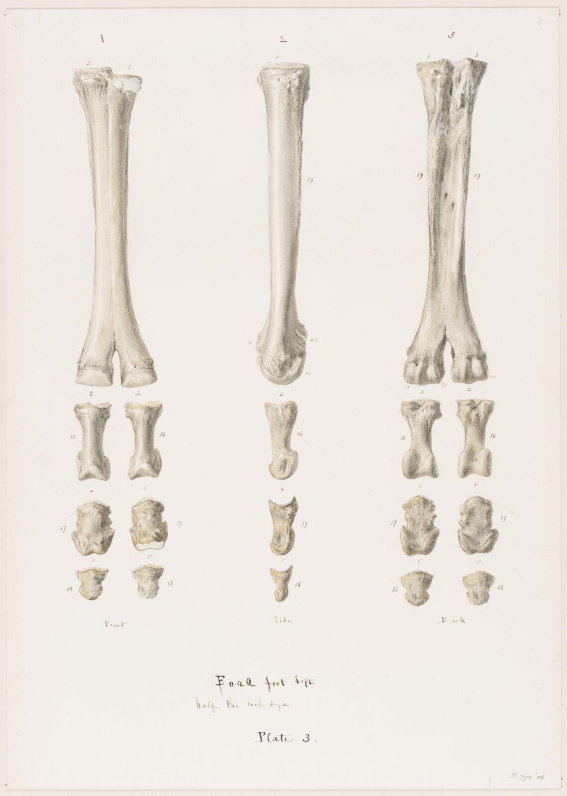 Drawing, Elijah Walton, 1865
