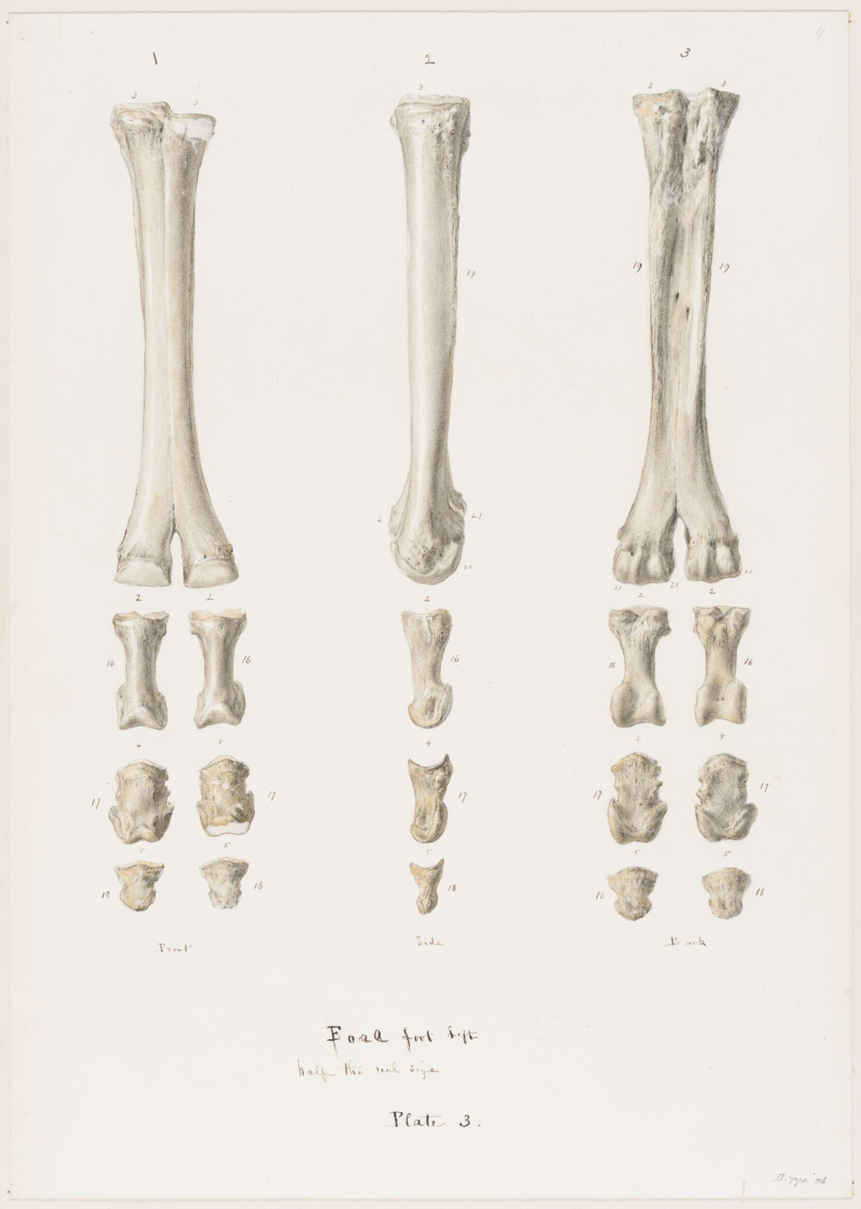 Drawing, Elijah Walton, 1865