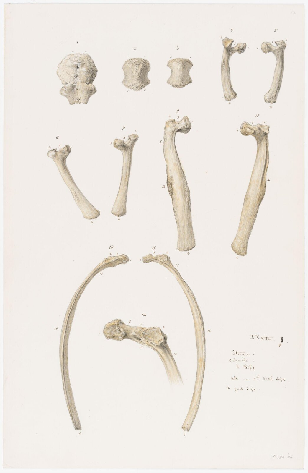 Drawing, Elijah Walton, 1865
