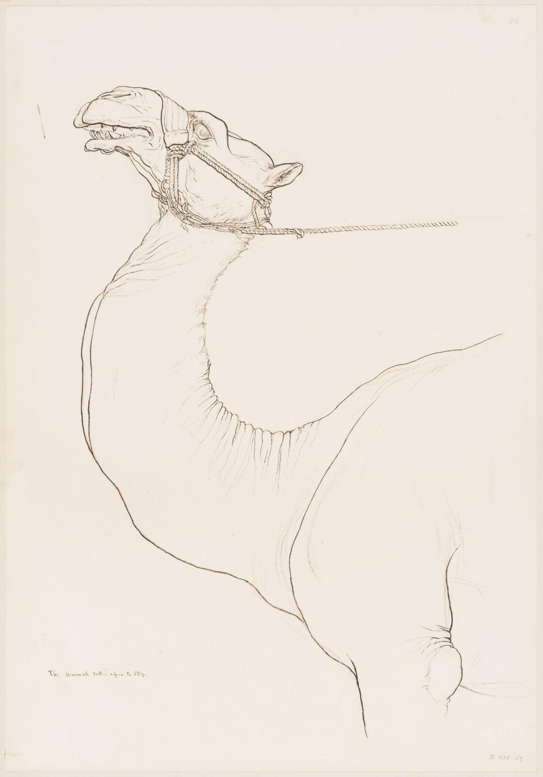 Drawing, Elijah Walton, 1865