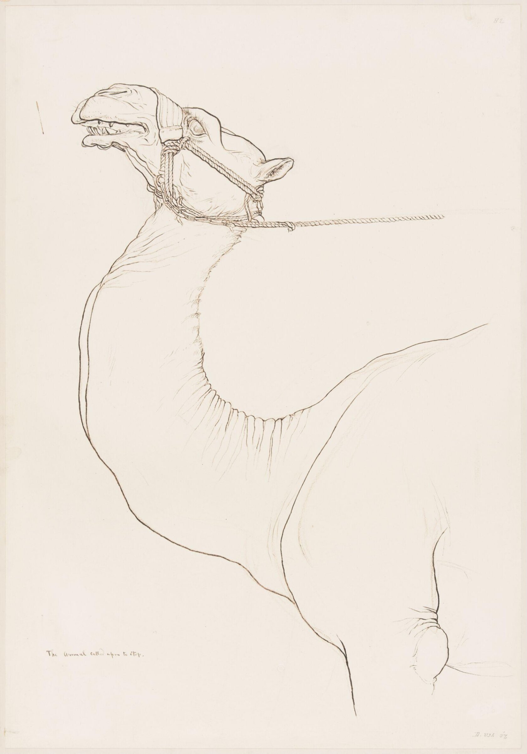 Drawing, Elijah Walton, 1865