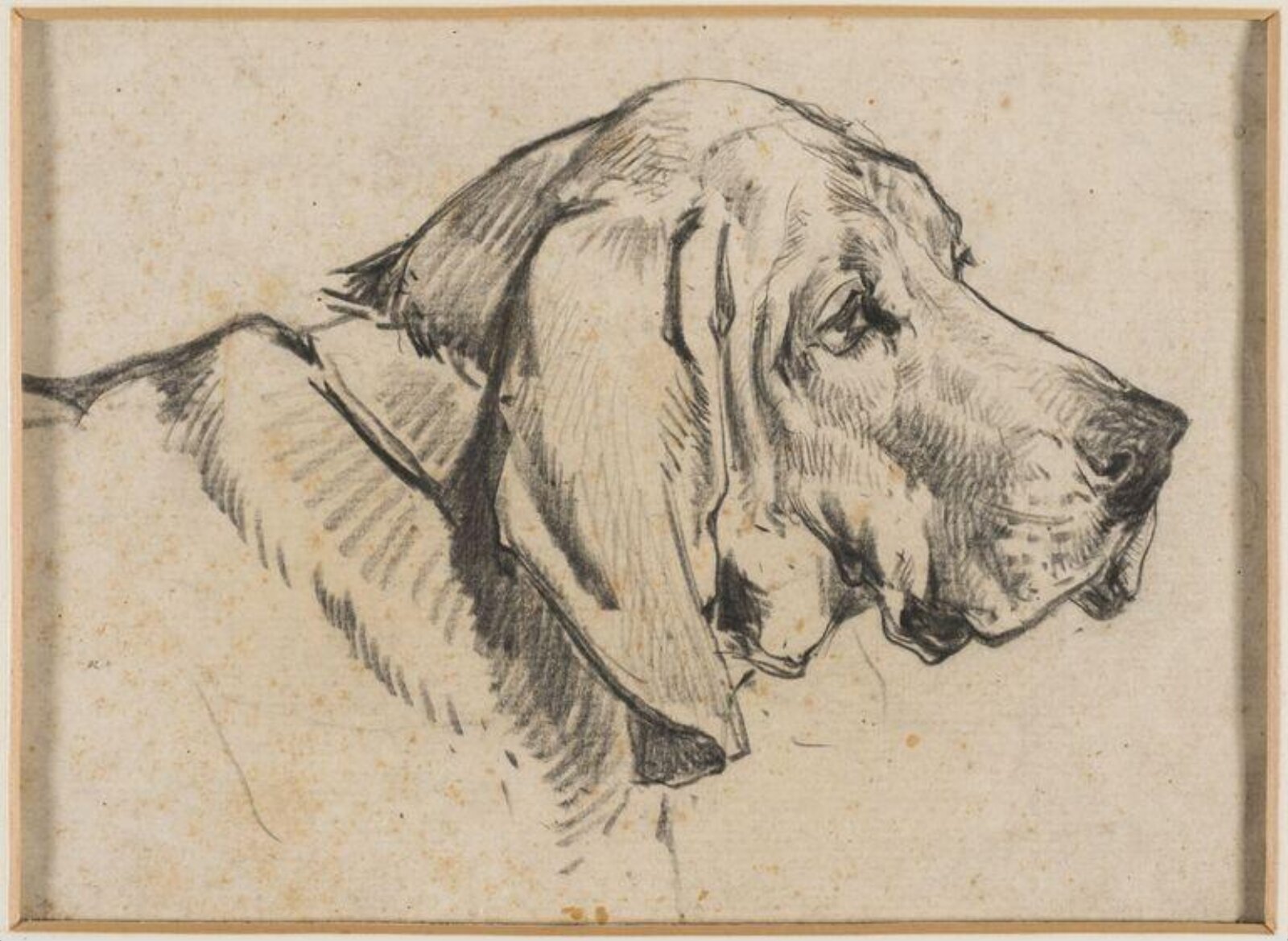 Drawing
