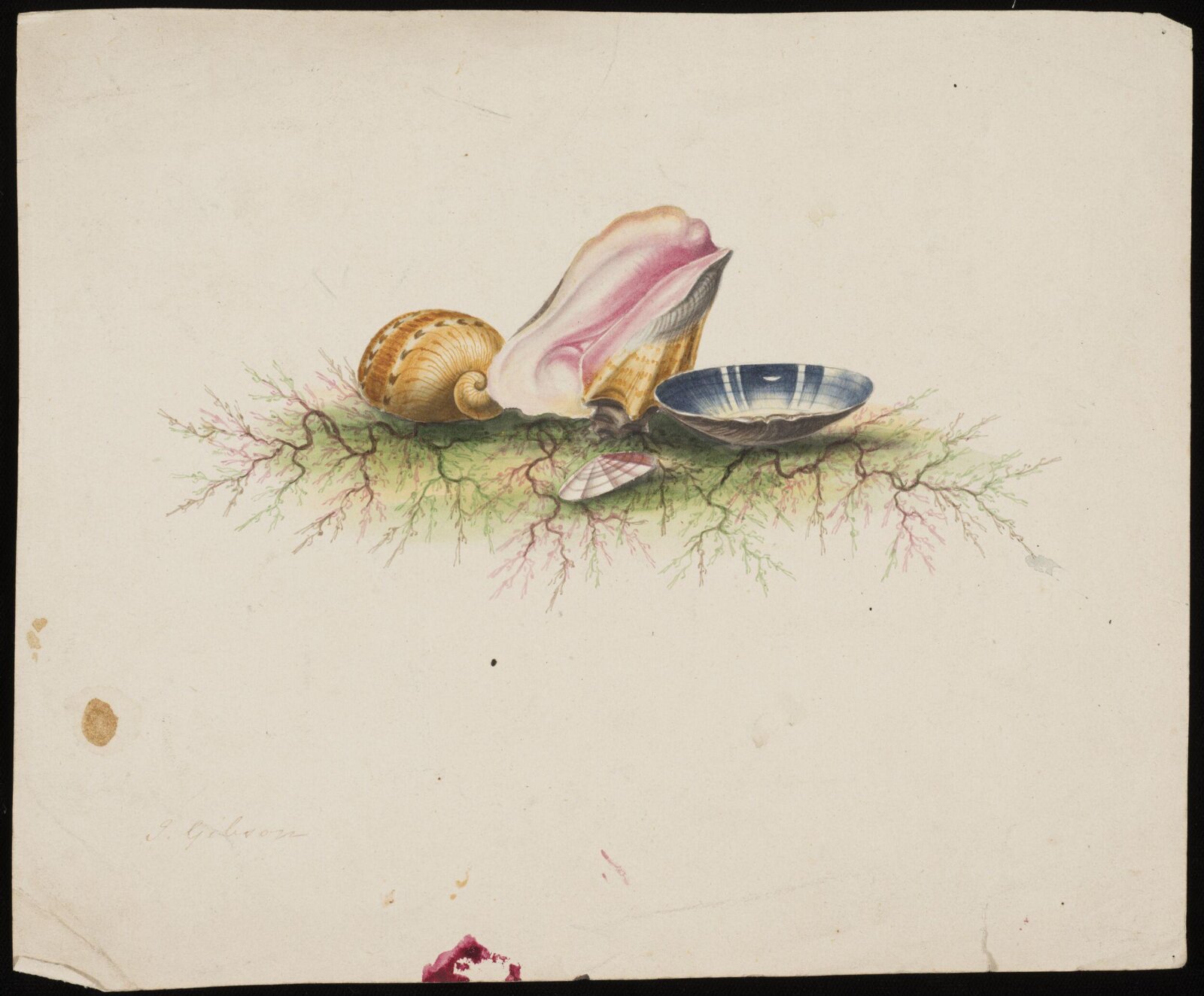Drawing, John George Gibson, late 18th century-early 19th century