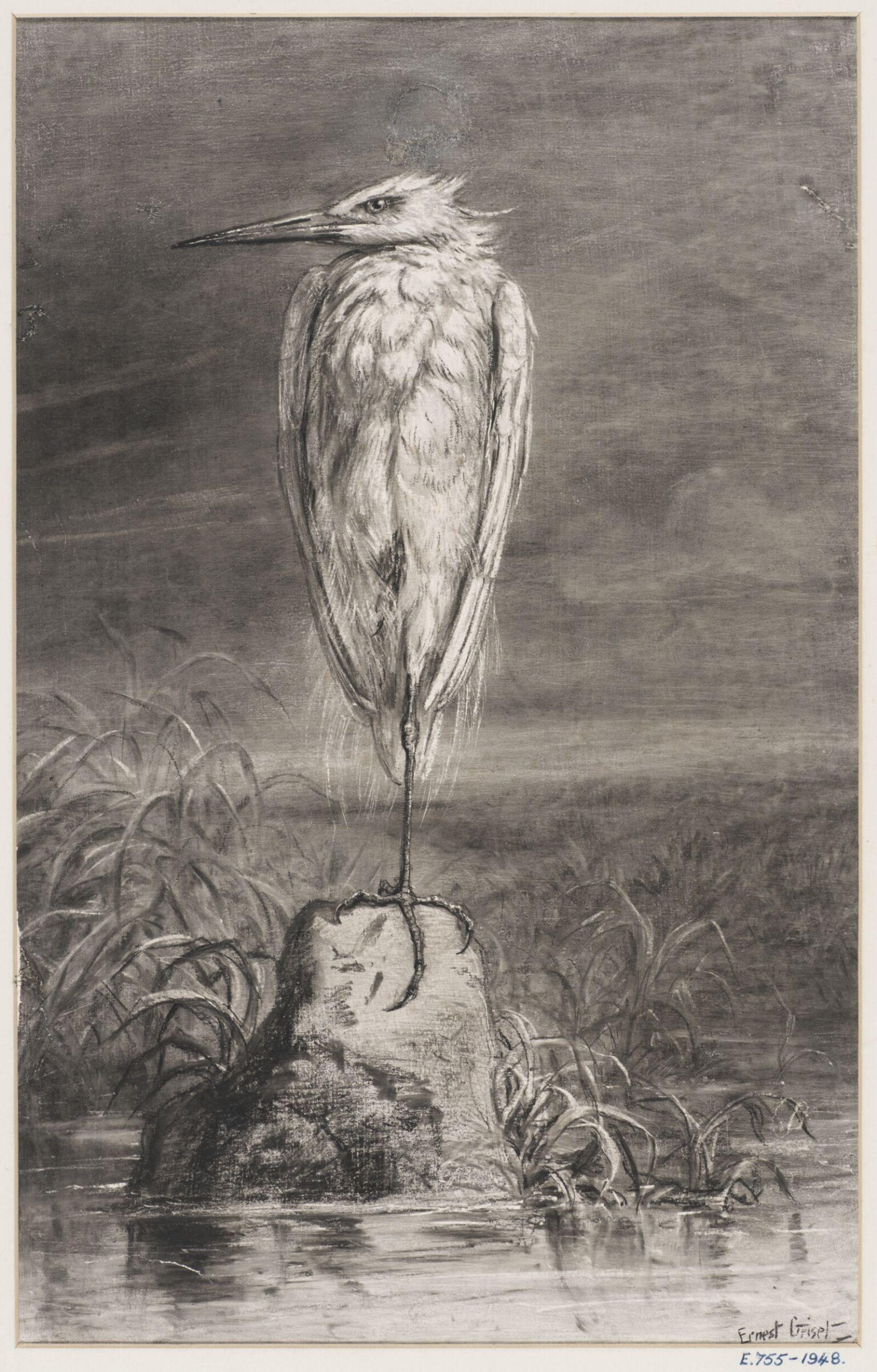 White Egret, Ernest Griset, second half of the 19th century