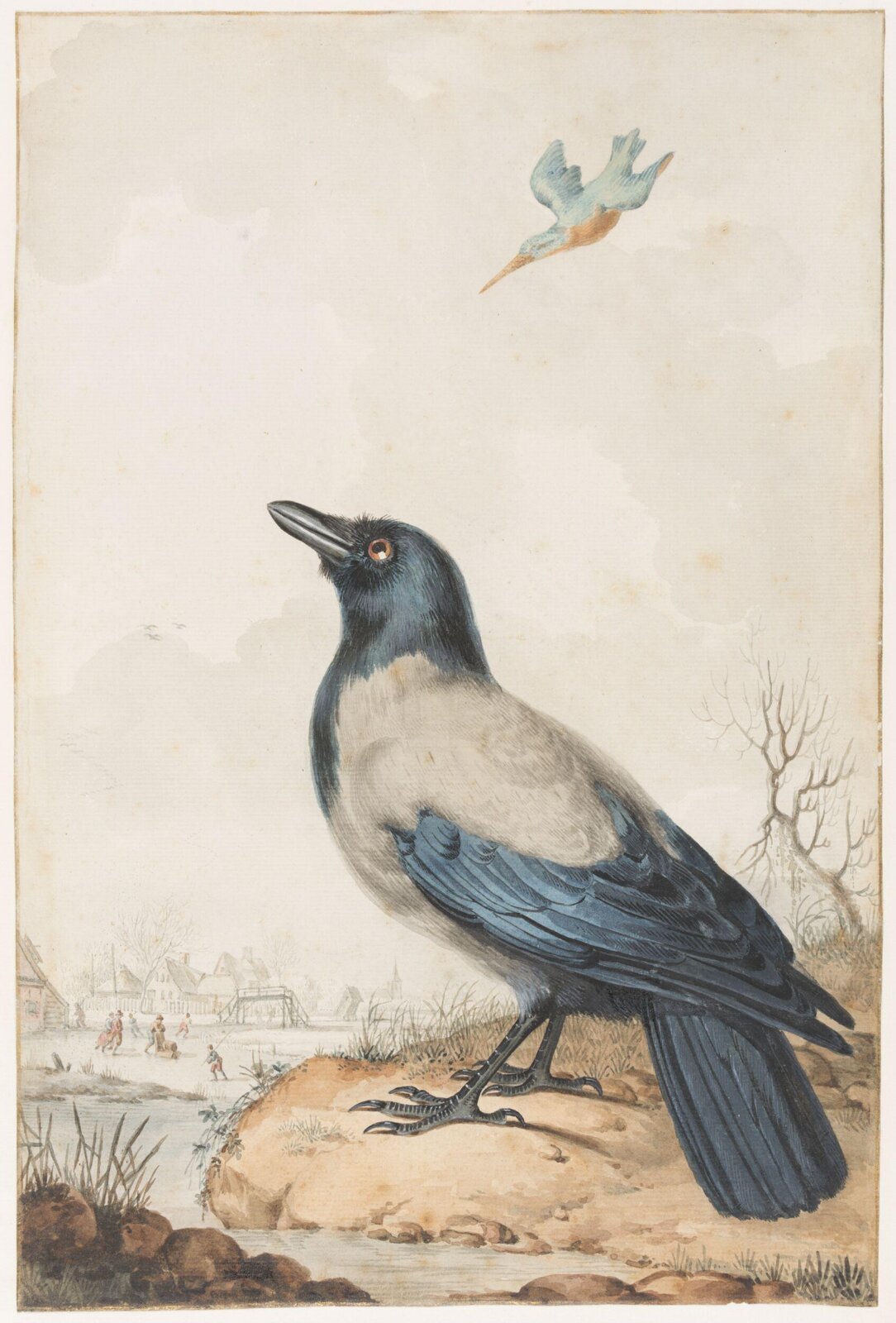 Piebald crow, Late 18th century