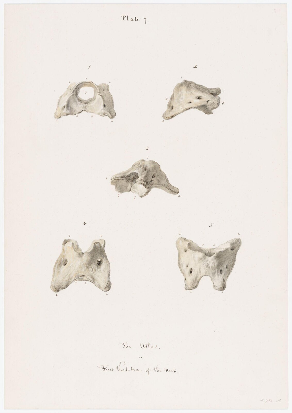 Drawing, Elijah Walton, 1865