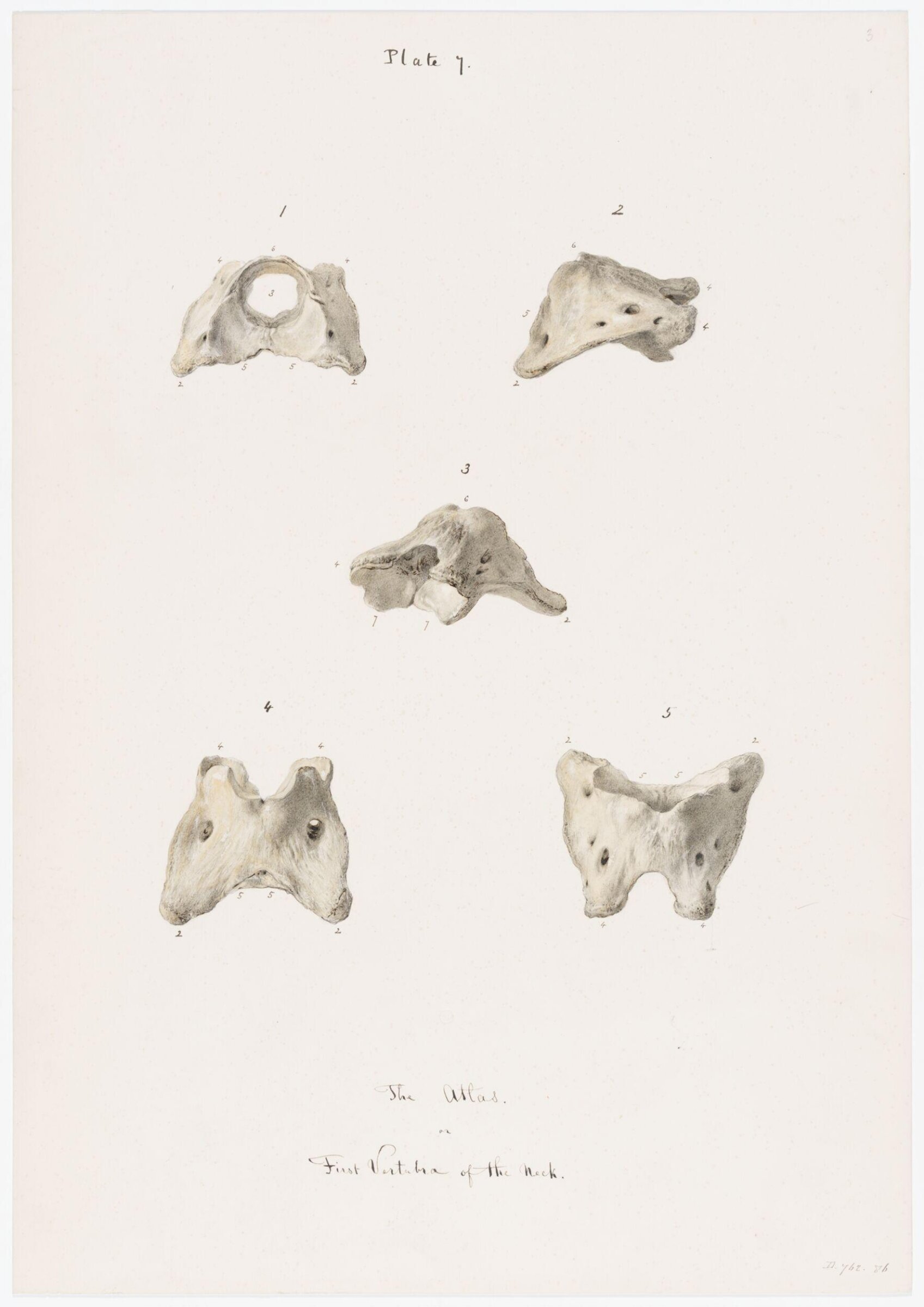 Drawing, Elijah Walton, 1865