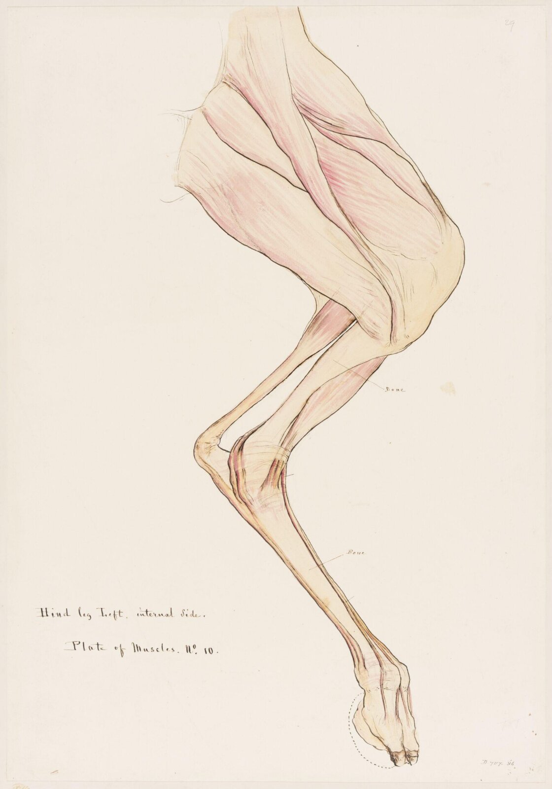Drawing, Elijah Walton, 1865