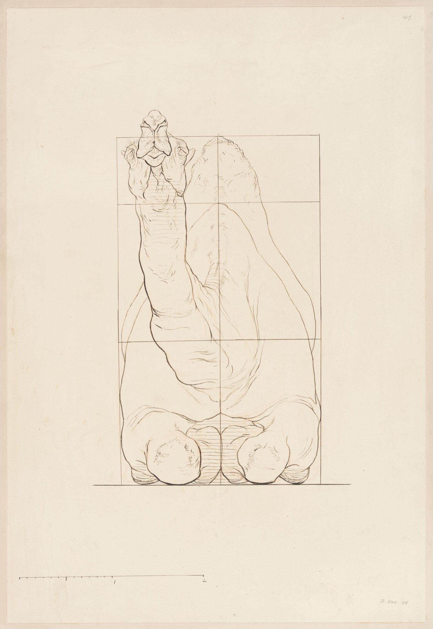 Drawing, Elijah Walton, 1865
