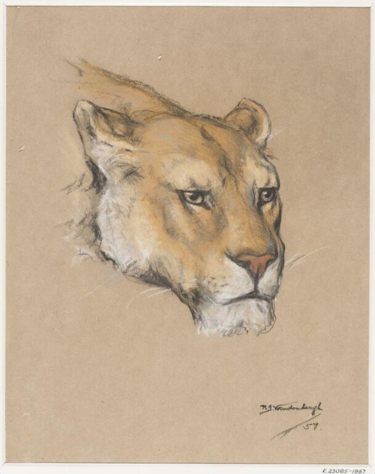 Drawing, Raymond John Vandenbergh, 1957