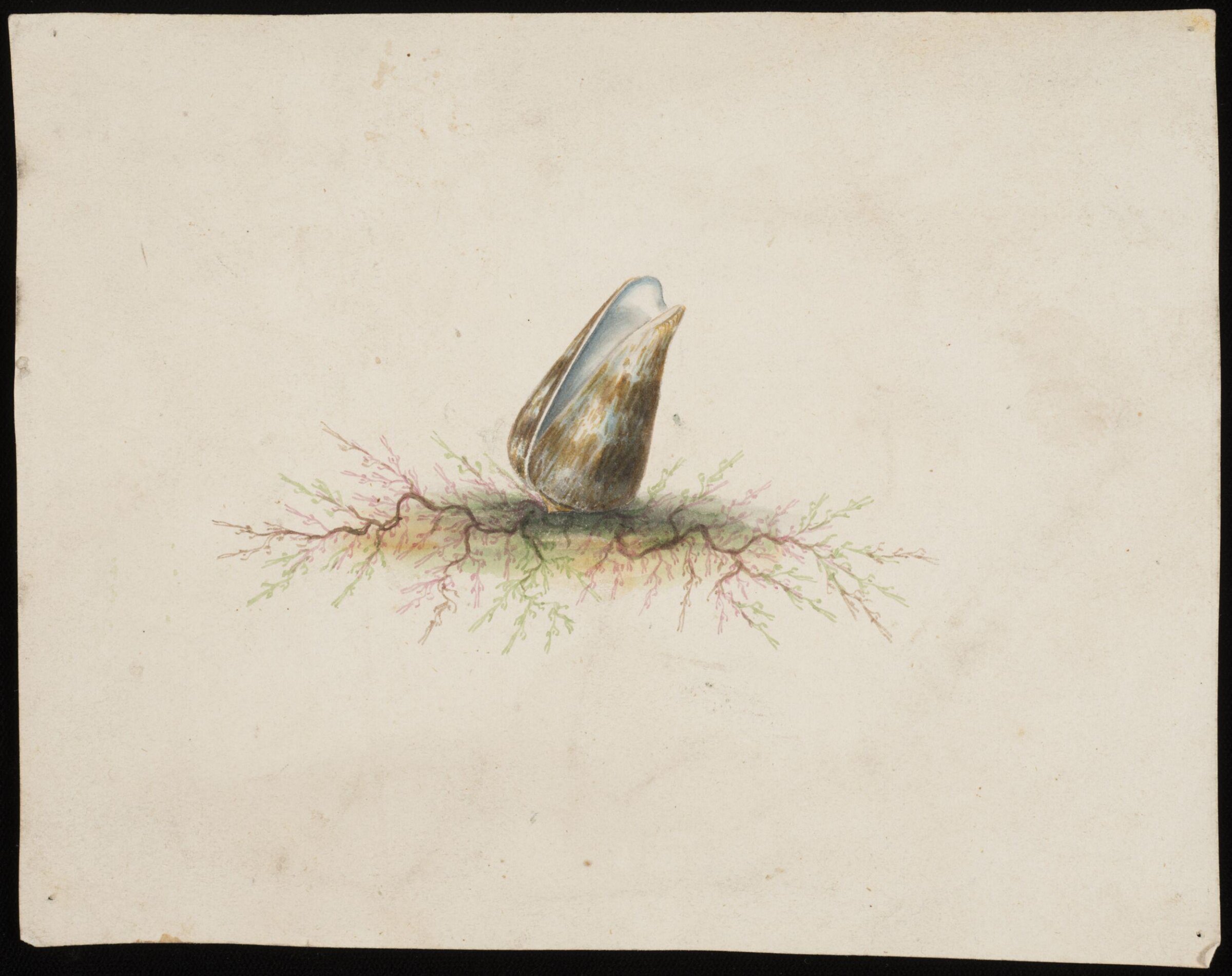 Drawing, John George Gibson, late 18th century-early 19th century
