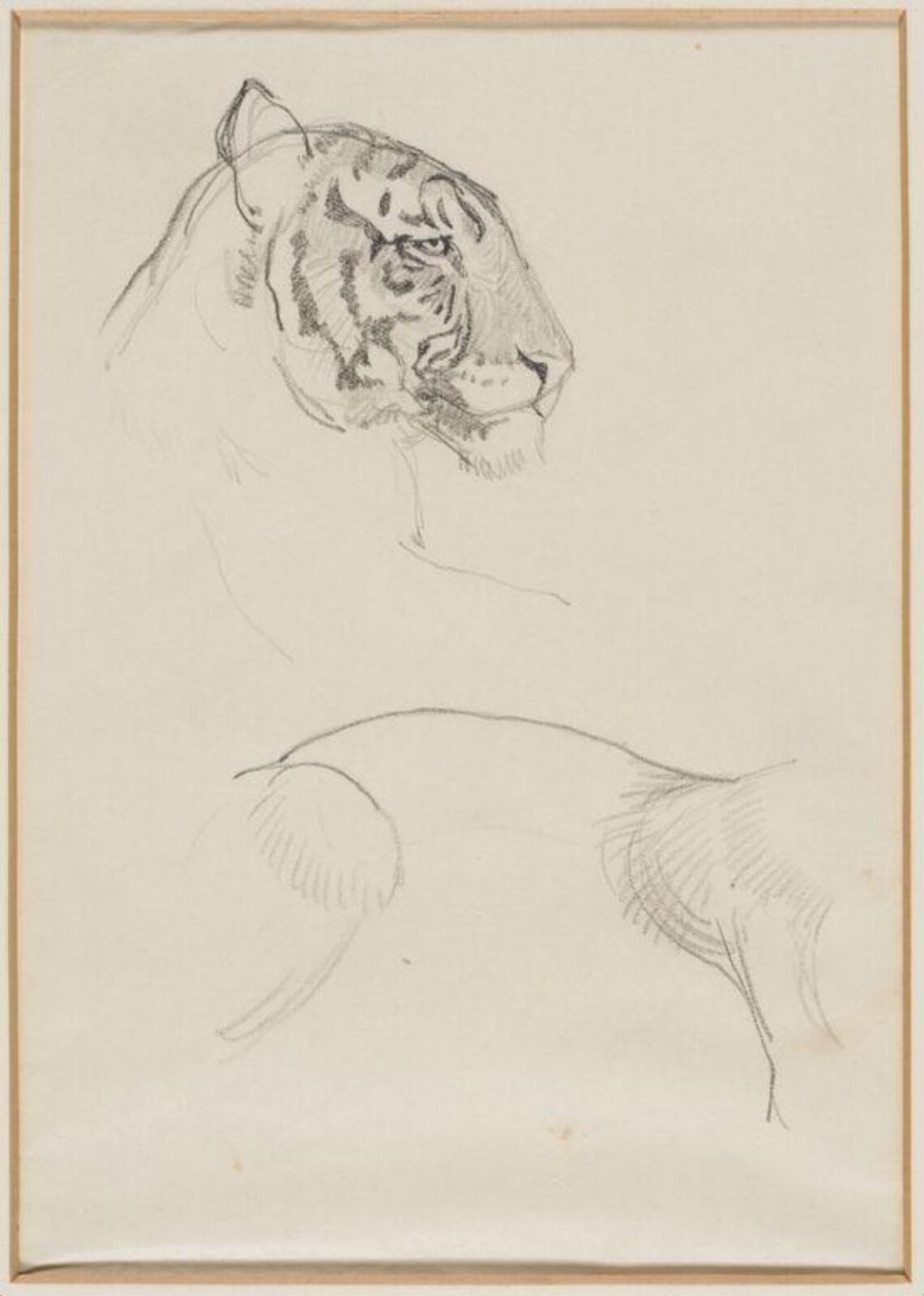 Tiger, A.W. Peters