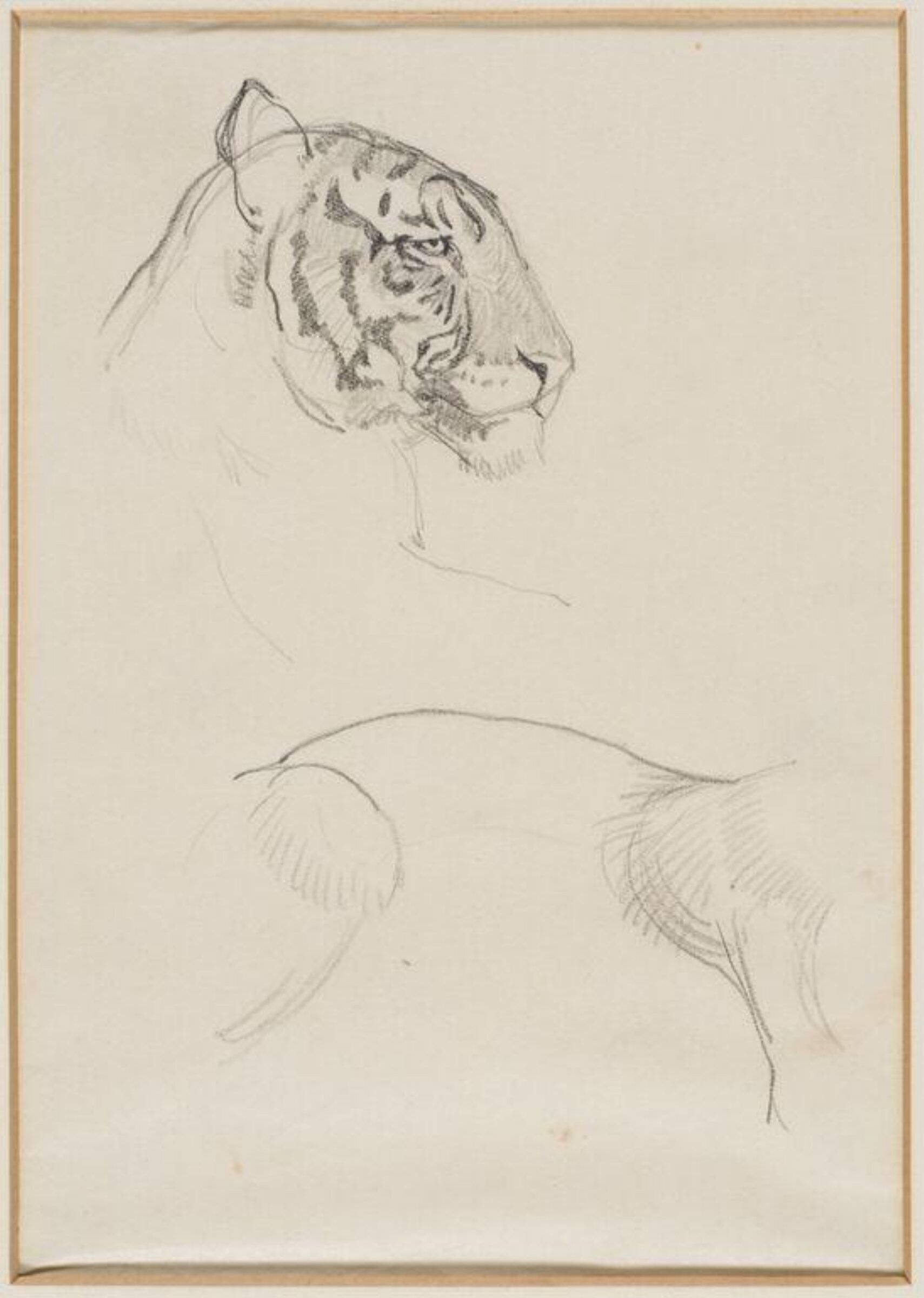 Tiger, A.W. Peters