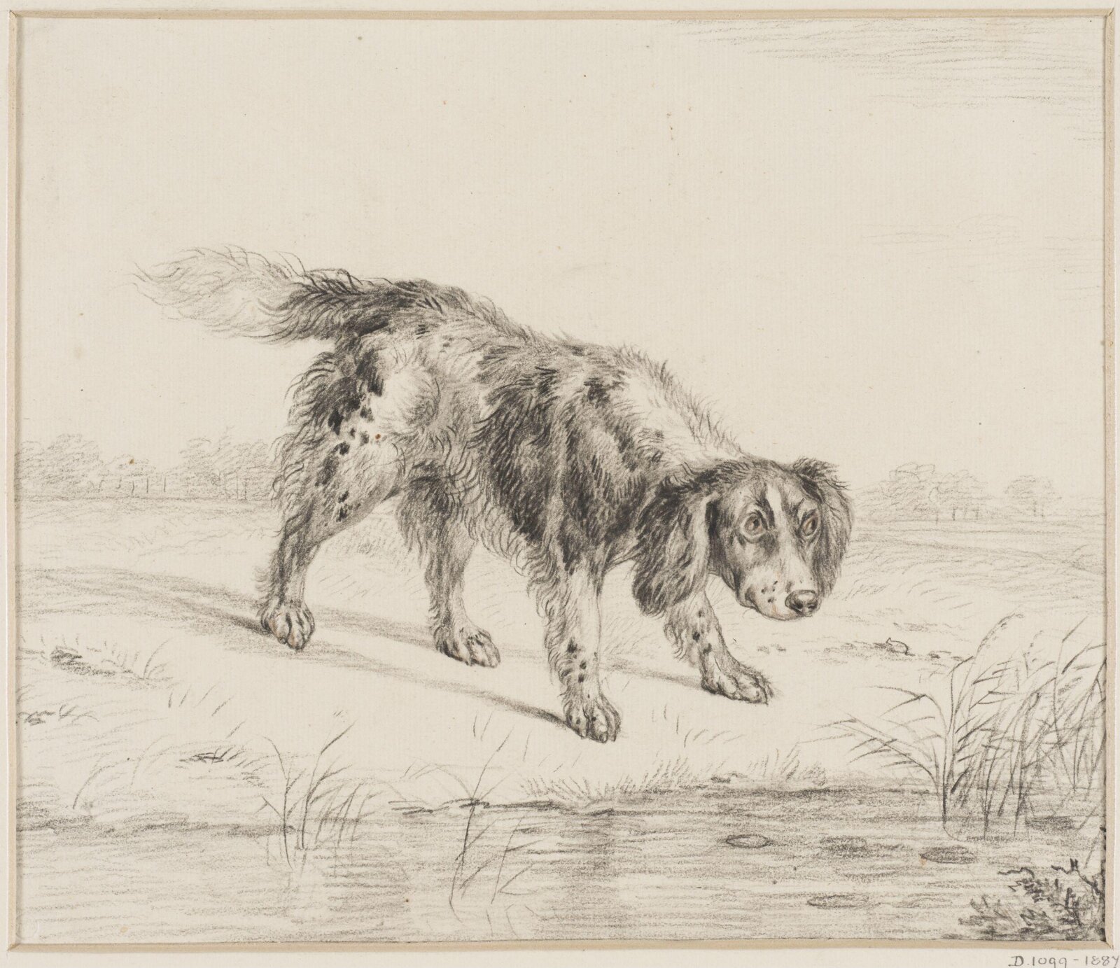 Drawing
