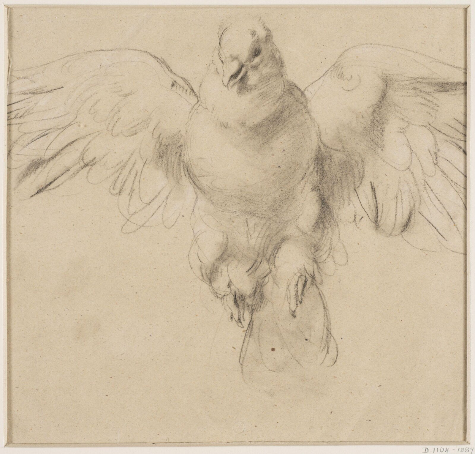 Drawing