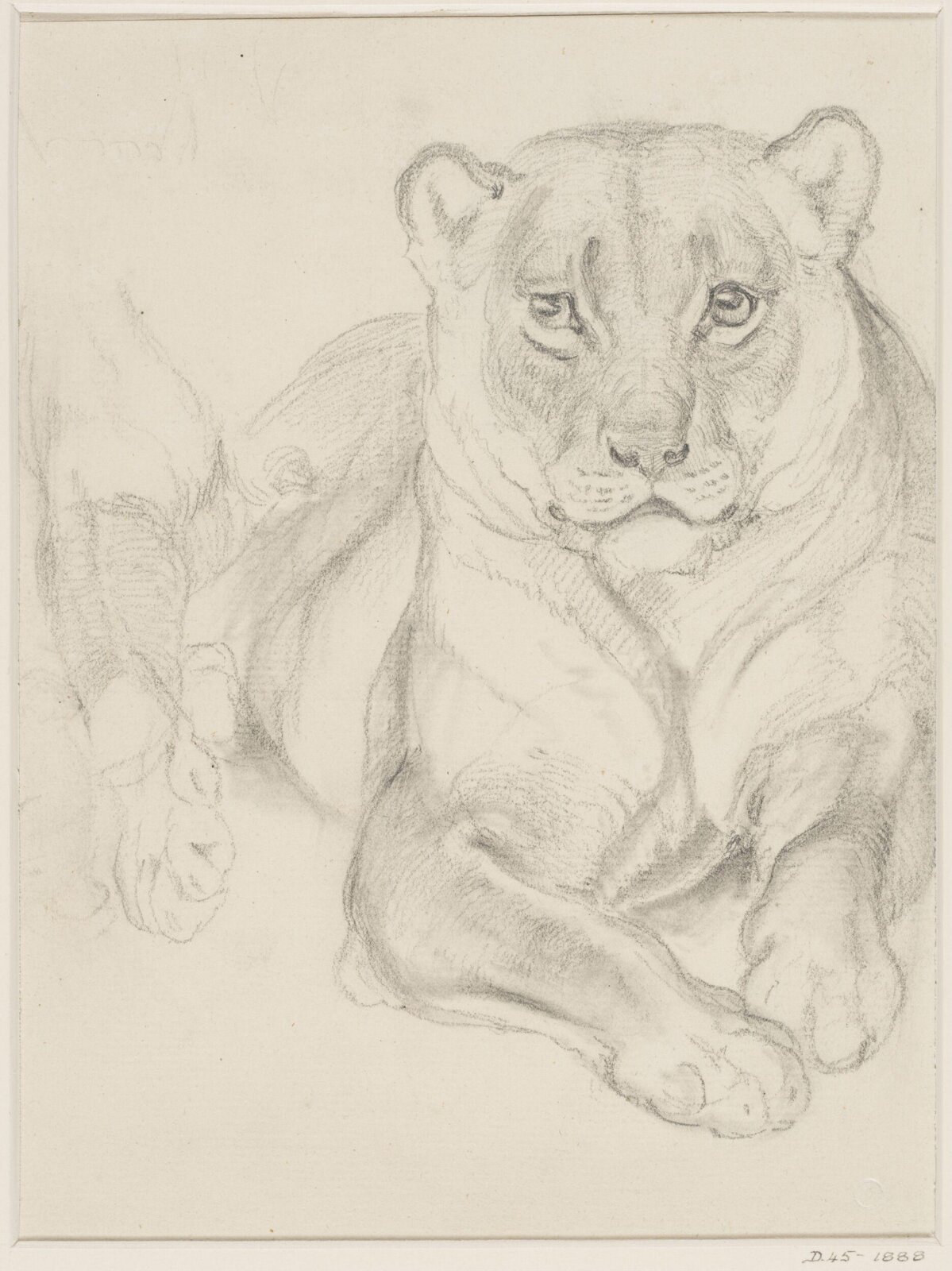 A Reclining Lion, Eugène Verboeckhoven, 1826