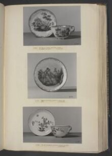 Tea Cup and Saucer thumbnail 1