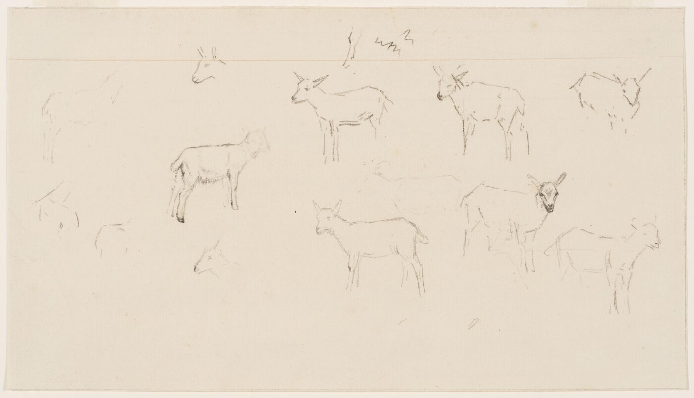 Wouter Johannes van Troostwijk, Studies of sheep